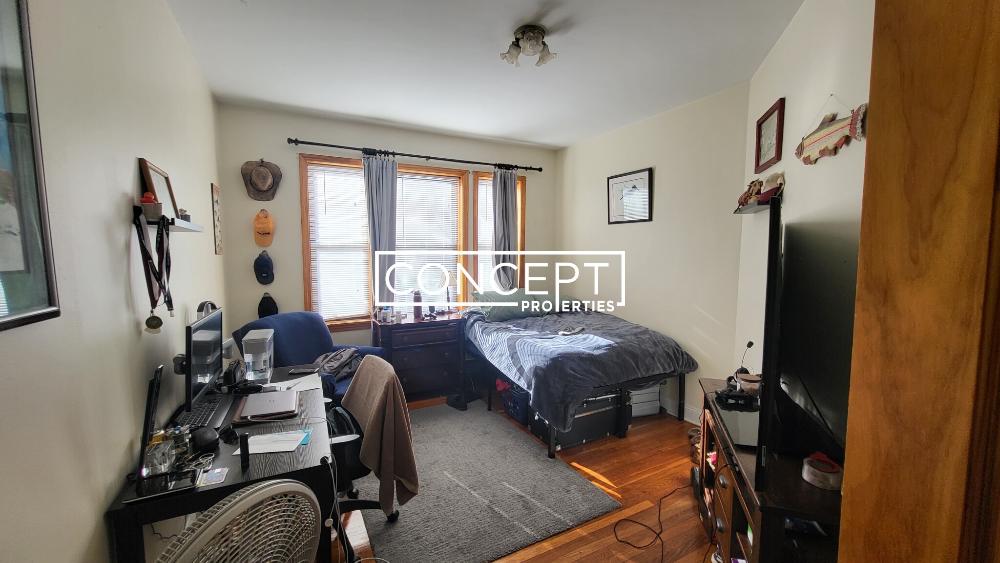 47 Orkney Rd, Brighton