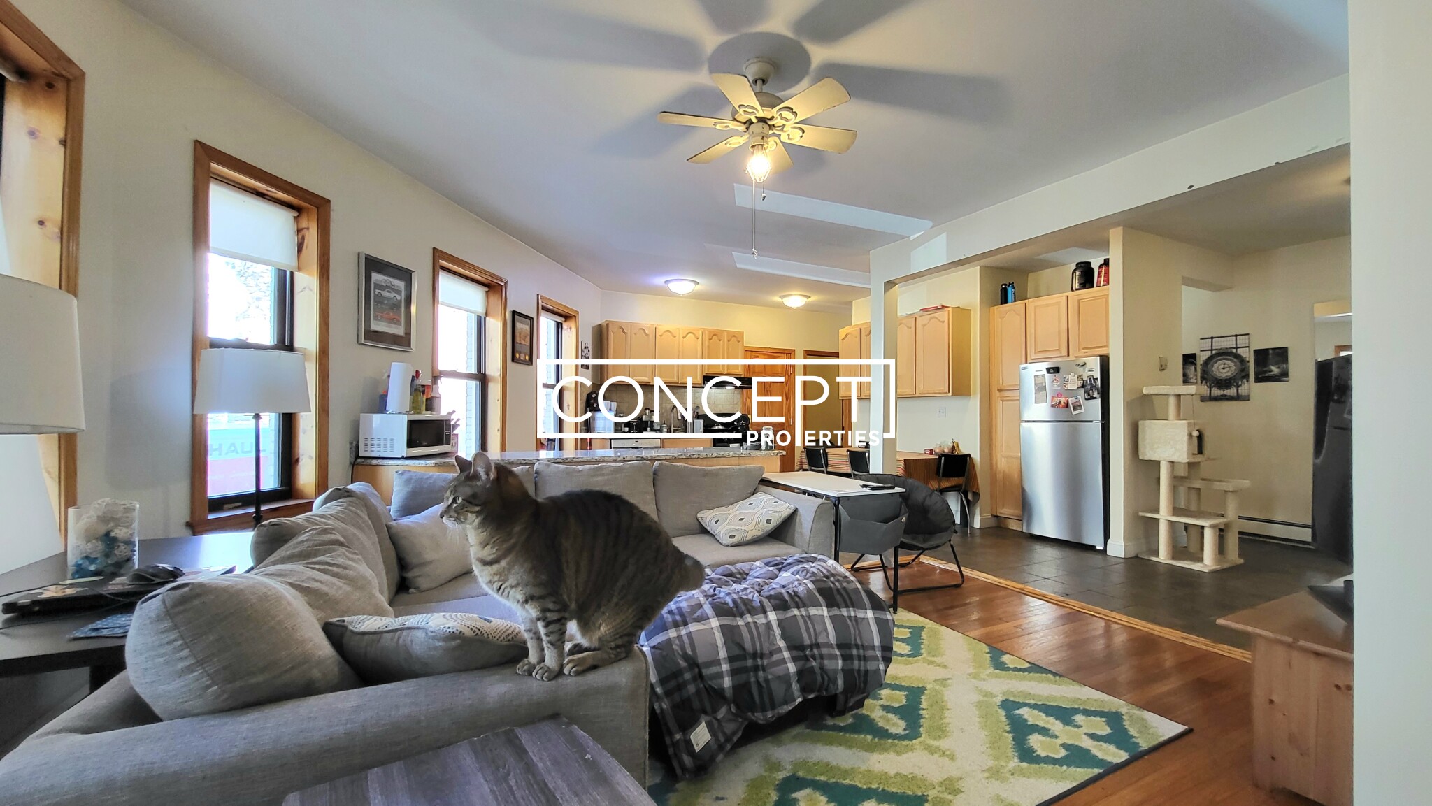 47 Orkney Rd, Brighton