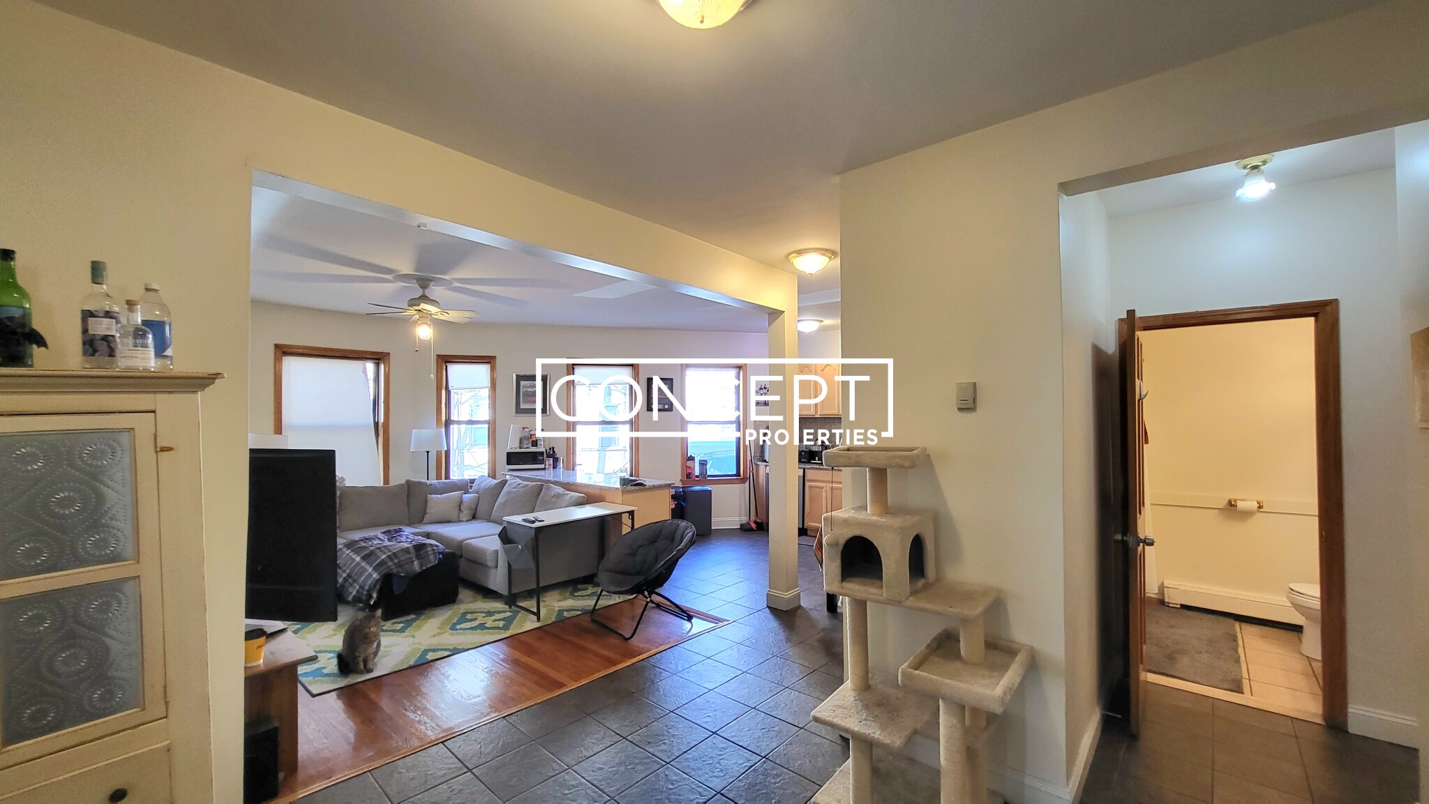 47 Orkney Rd, Brighton