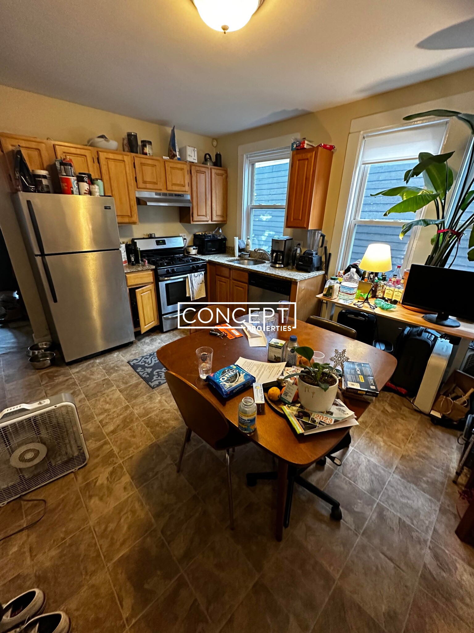 Concept Properties