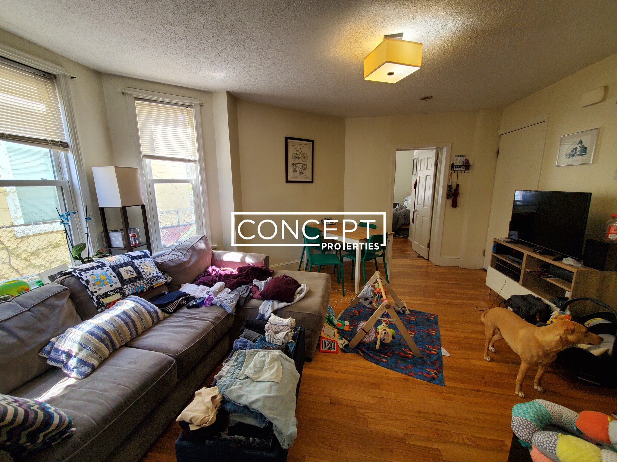 11 Stickney Ave, Porter Square