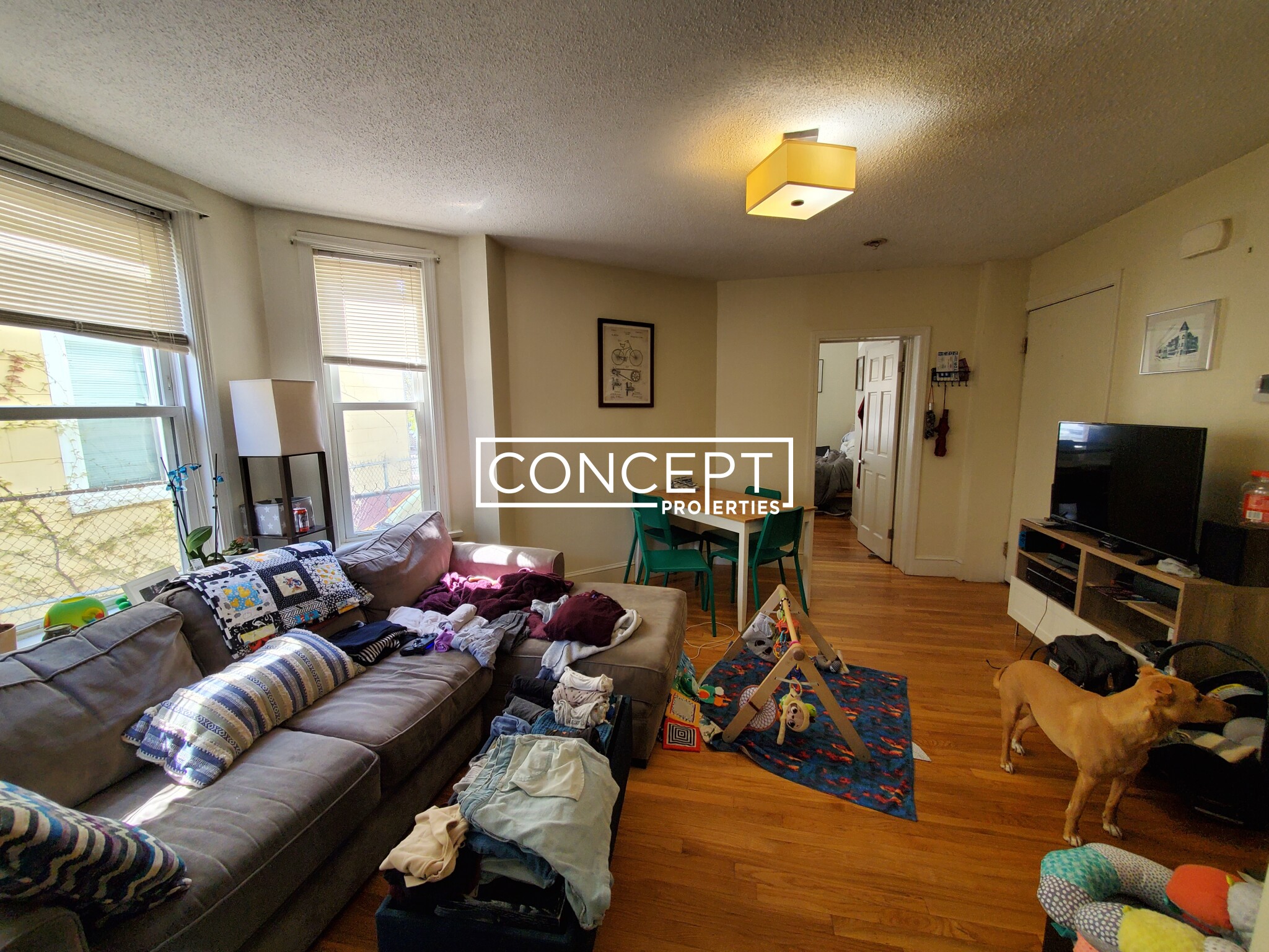 11 Stickney Ave, Porter Square