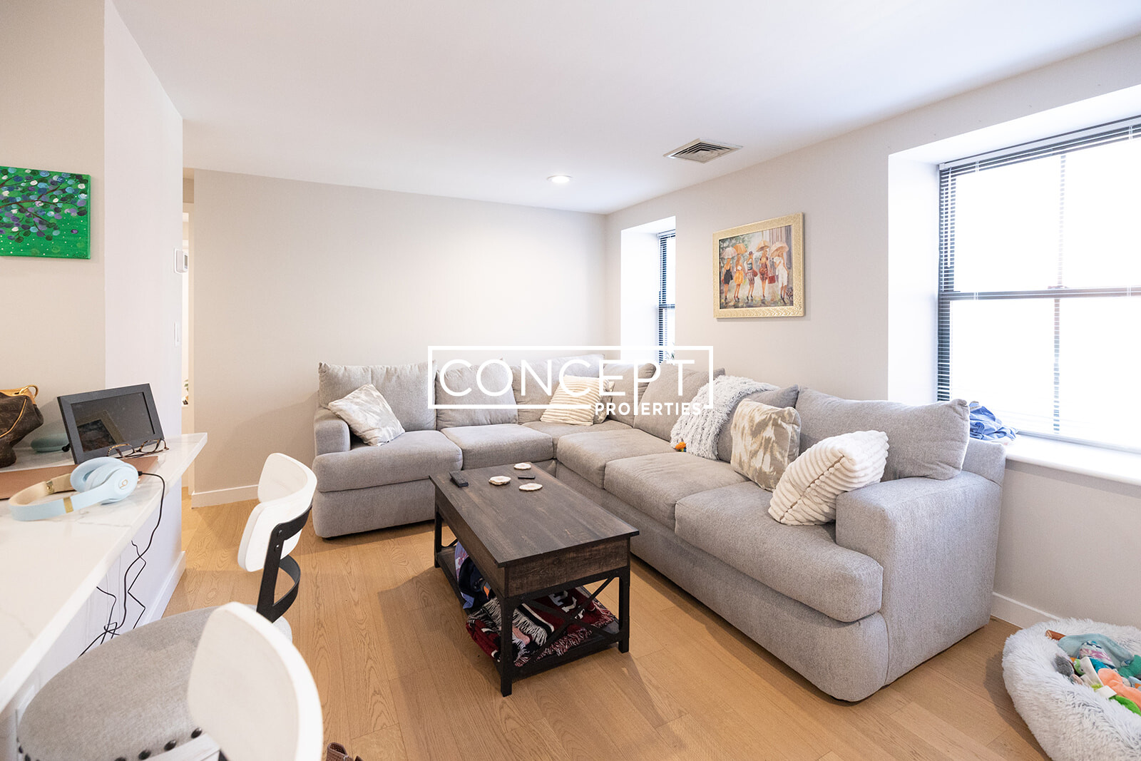 Concept Properties