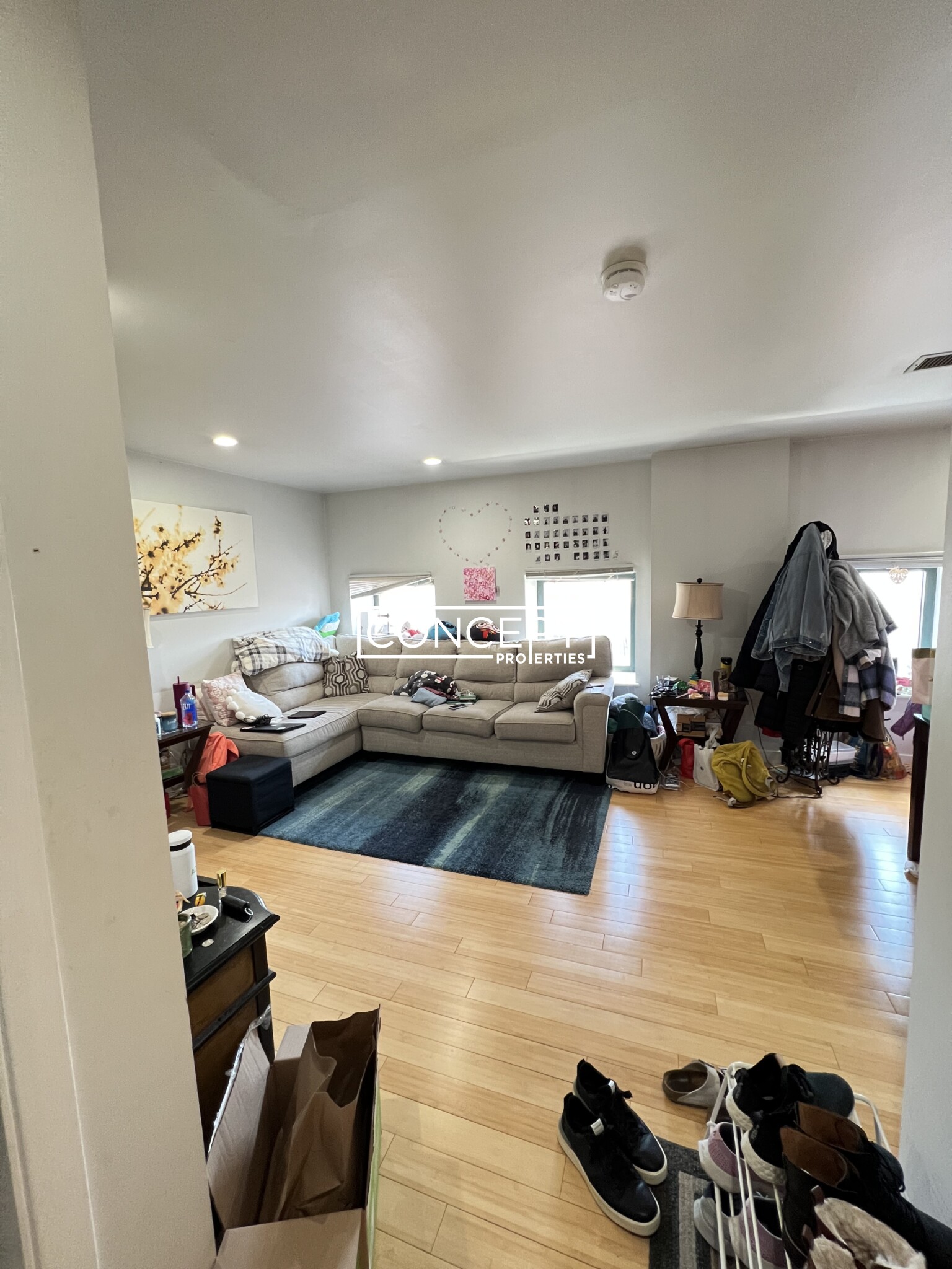 Concept Properties