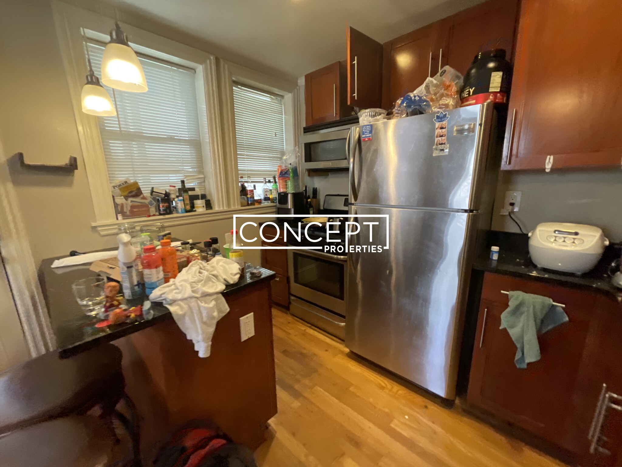 Concept Properties