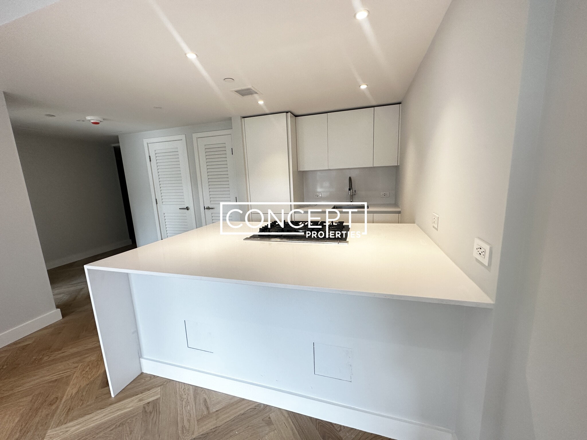 Concept Properties