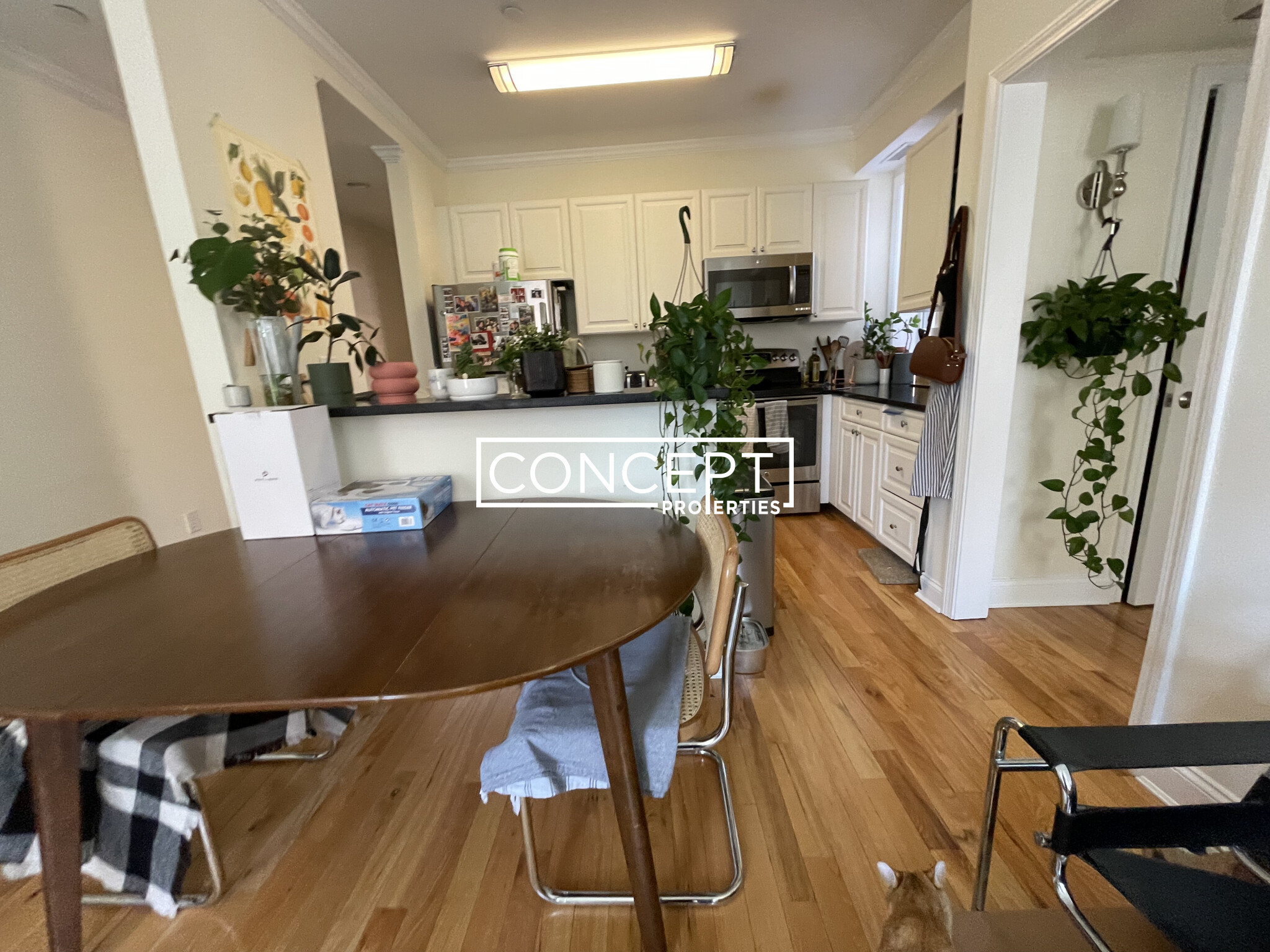 1 Chauncy St, Harvard Square