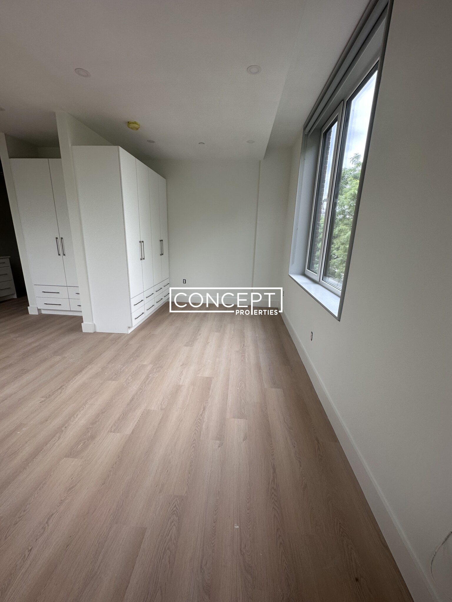 Concept Properties