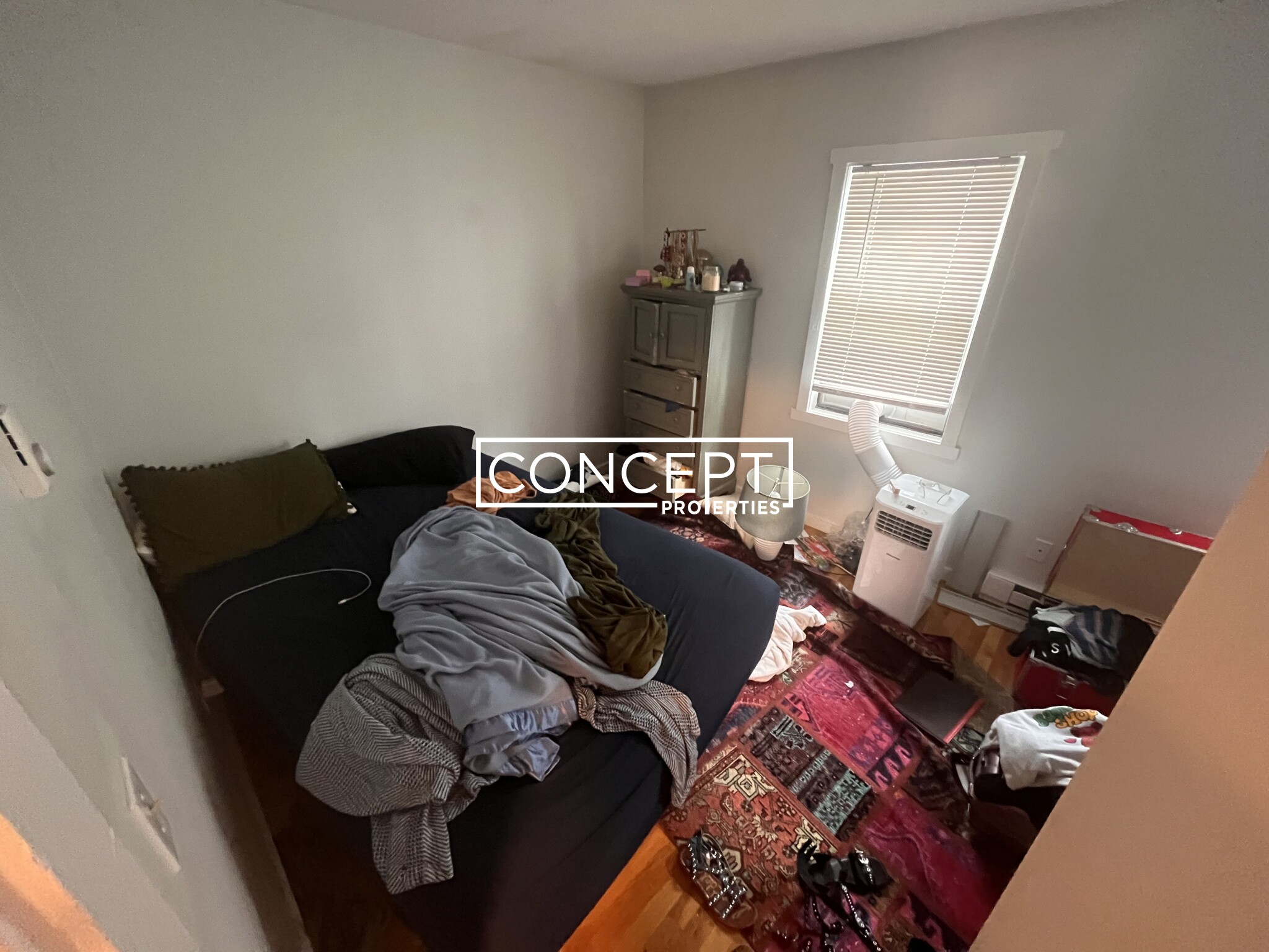 3 Schrepel Pl, South Boston