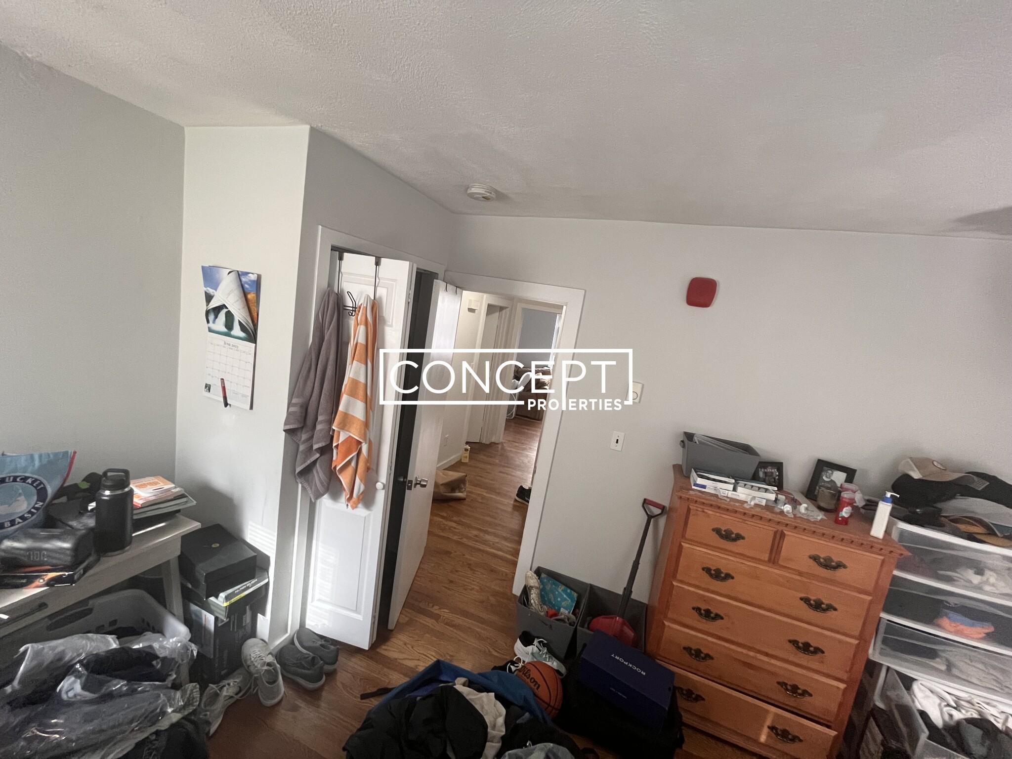 1.1 Schrepel Pl, South Boston