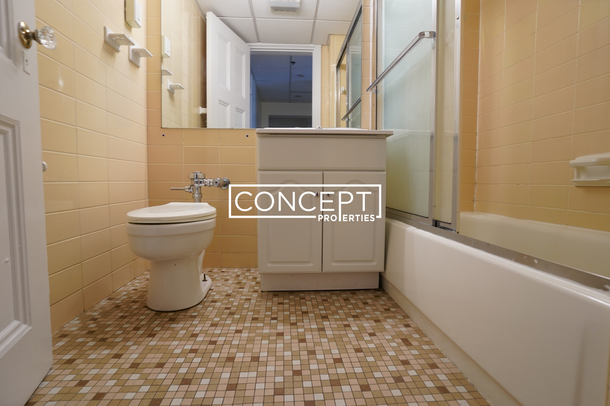 Concept Properties