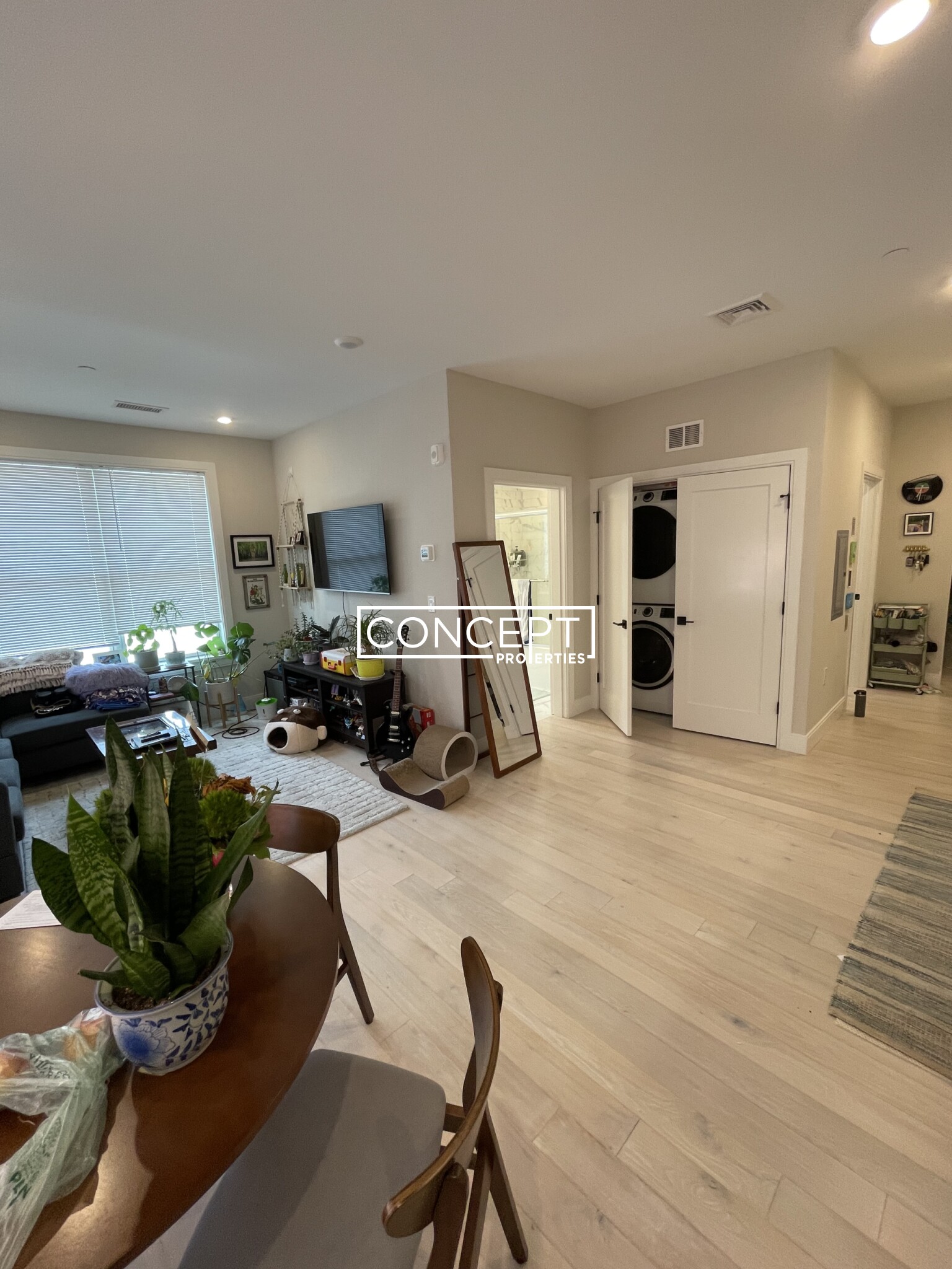 Concept Properties