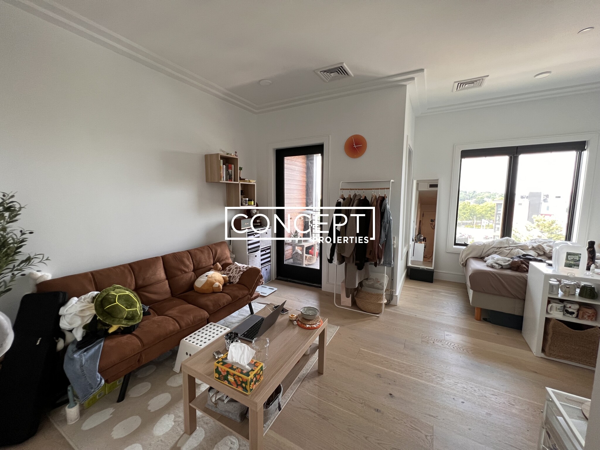 Concept Properties