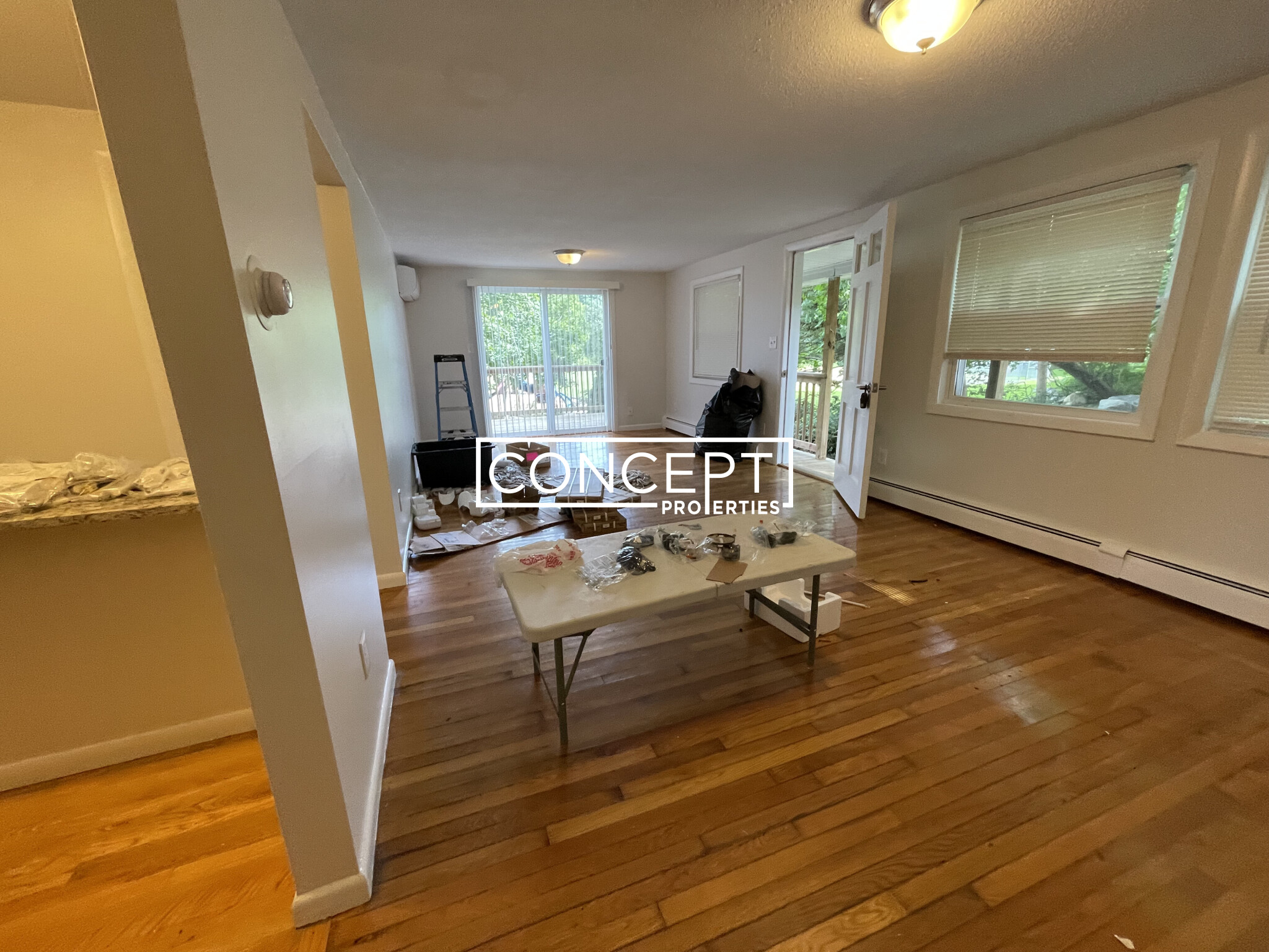 Concept Properties