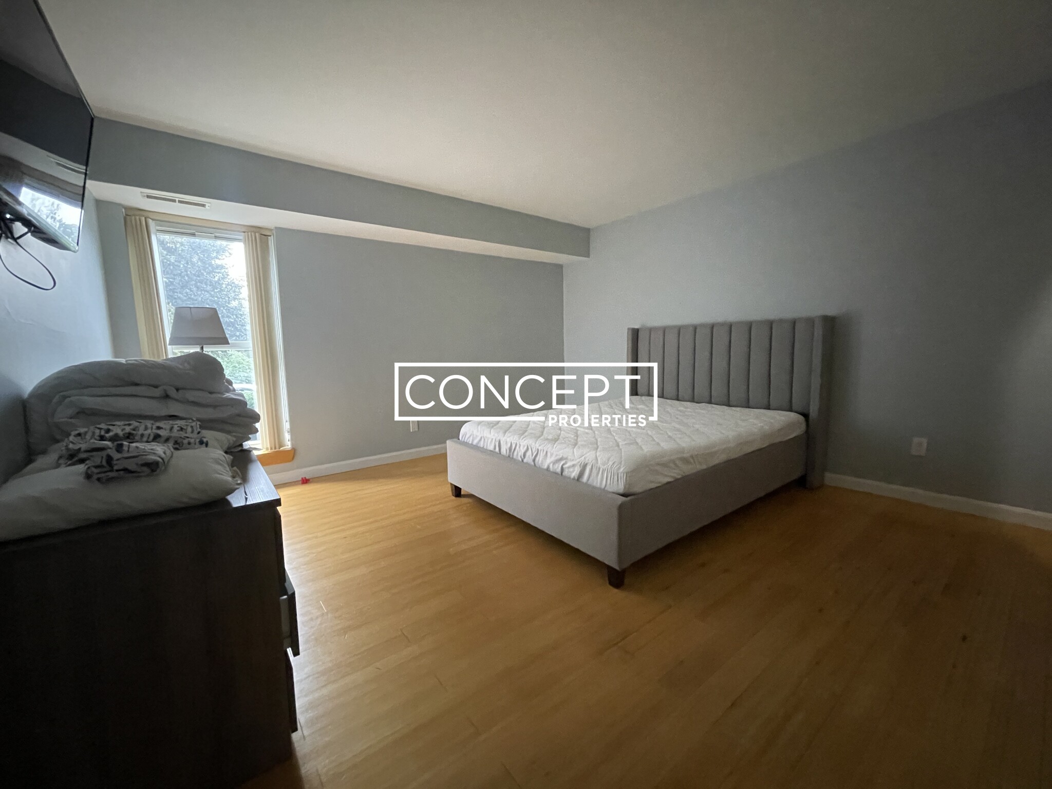 57 Broadlawn Park, Chestnut Hill (Newton)