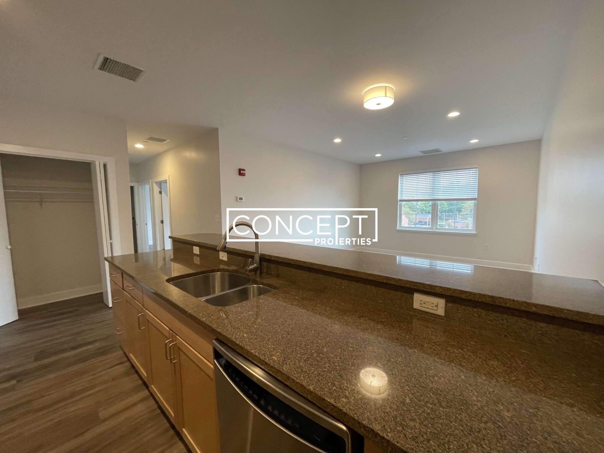 Concept Properties