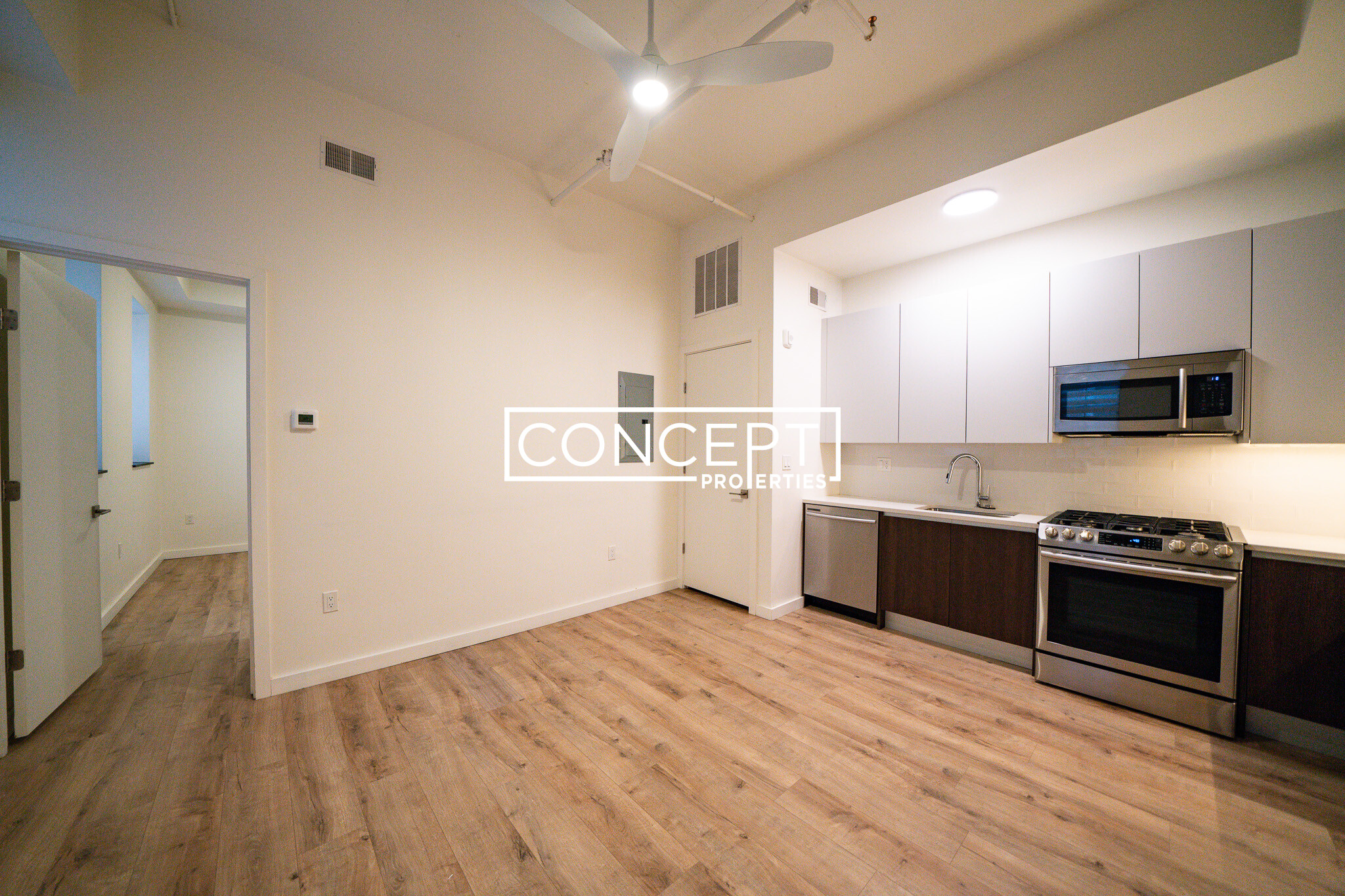 Concept Properties