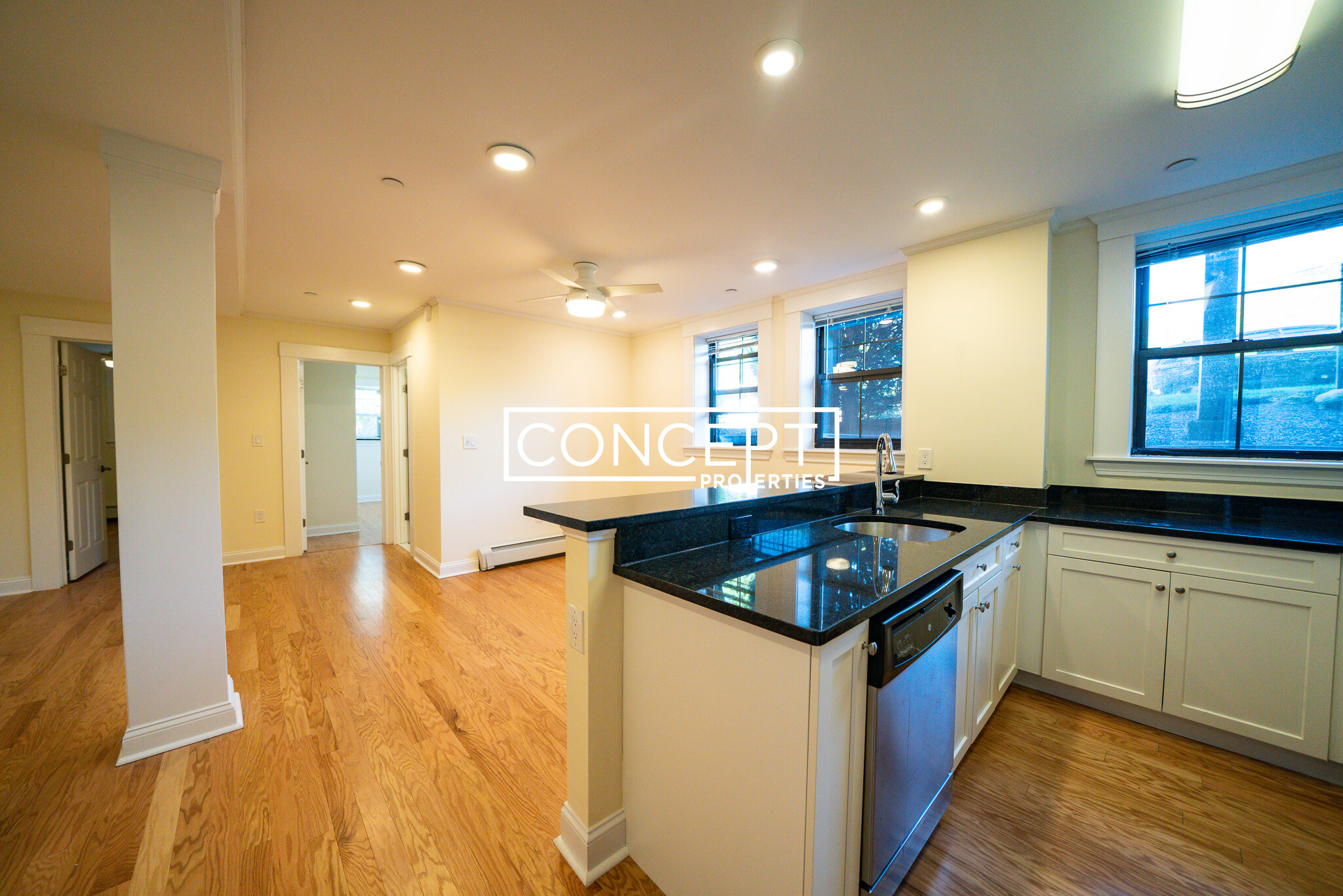 Concept Properties