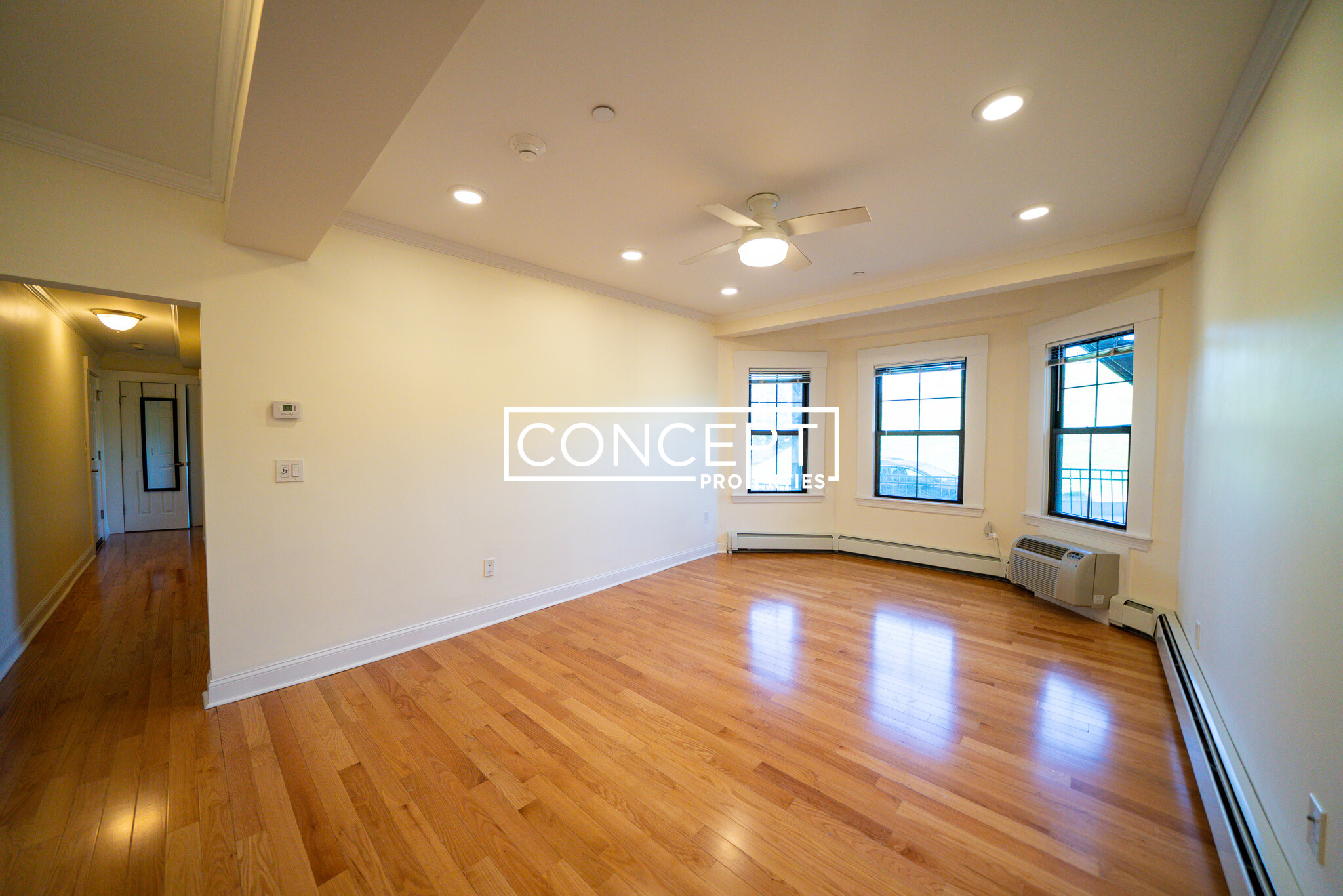 Concept Properties