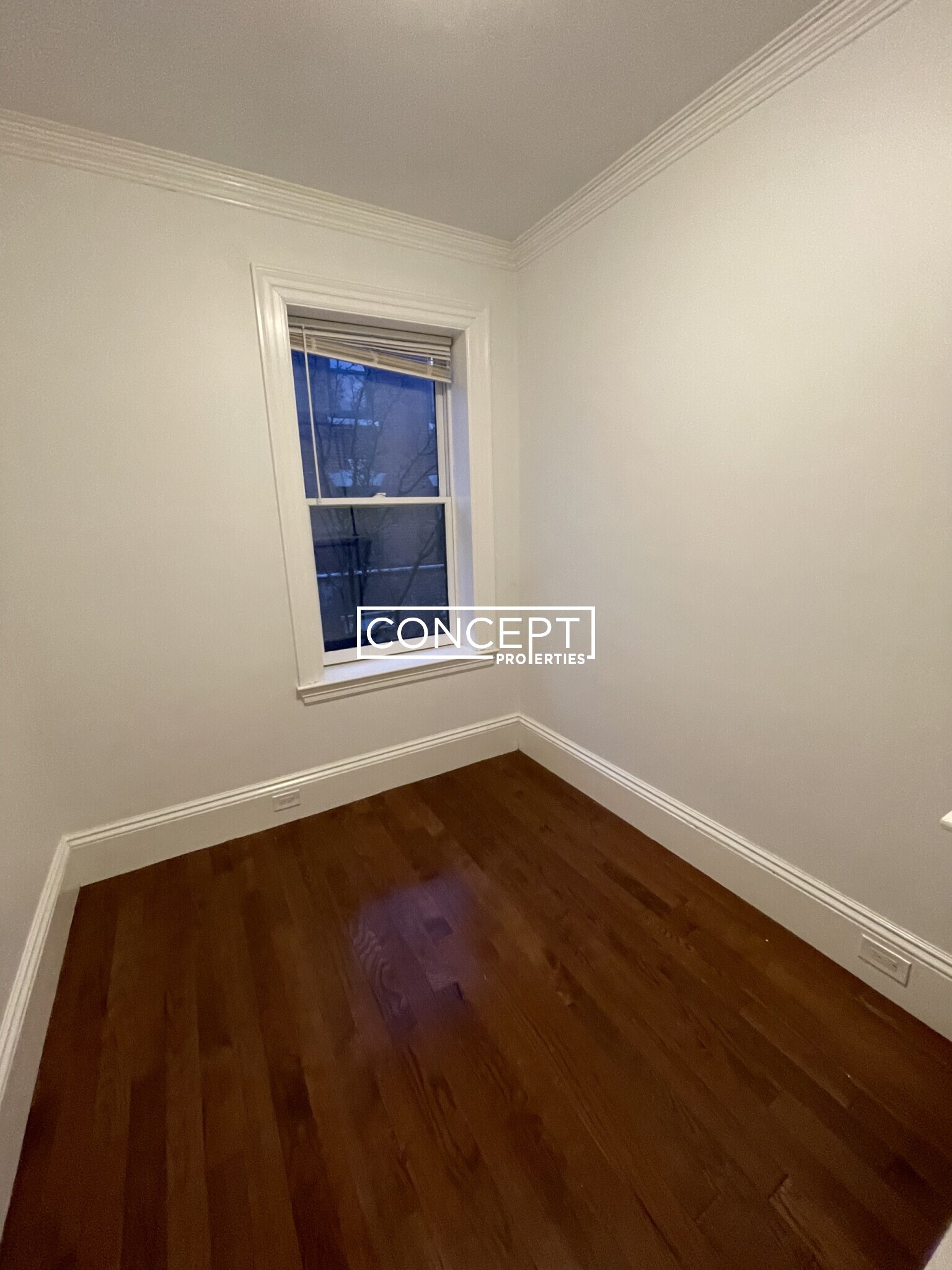 98 Myrtle St, Beacon Hill