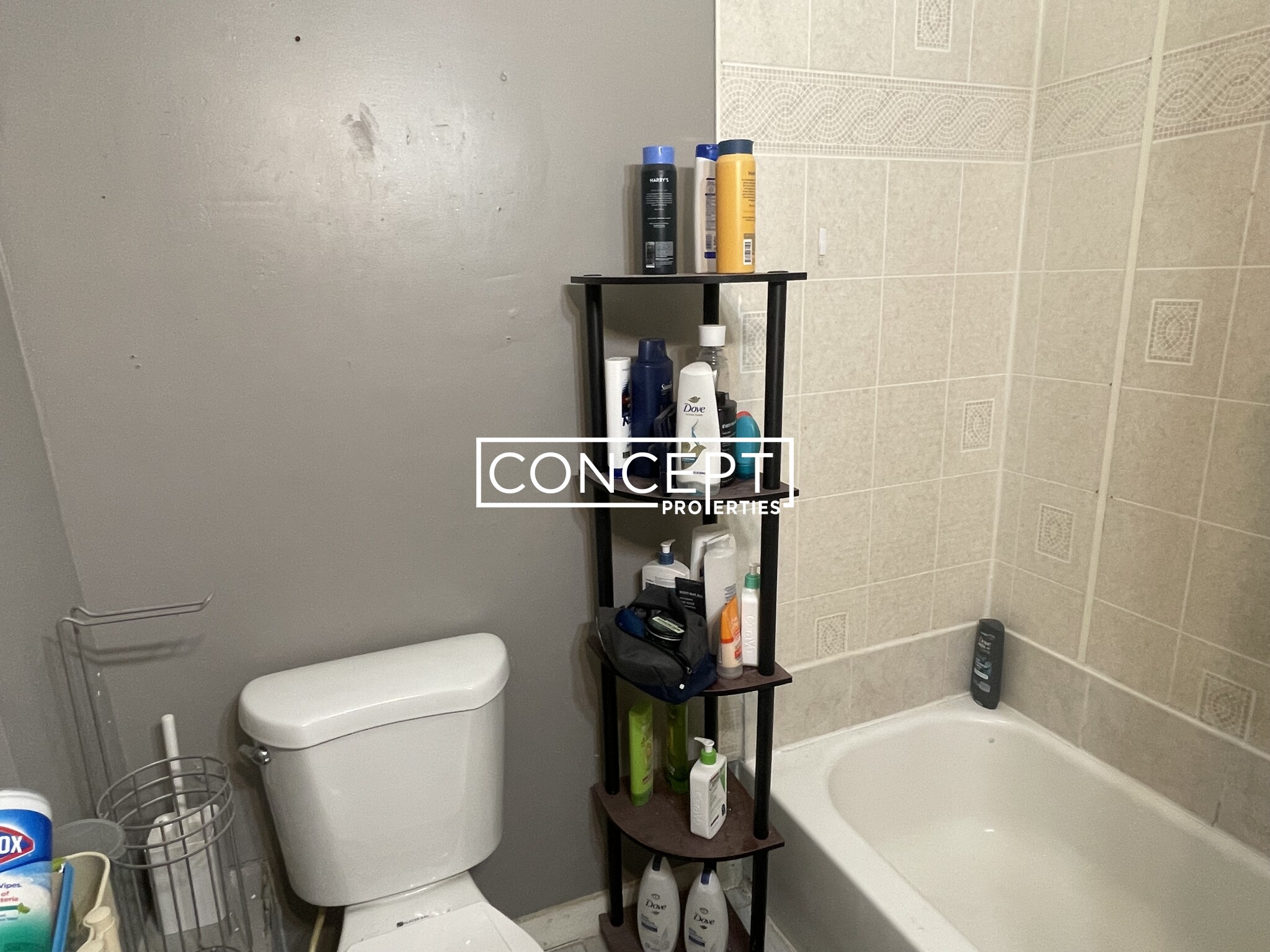 168 Hillside St, Mission Hill