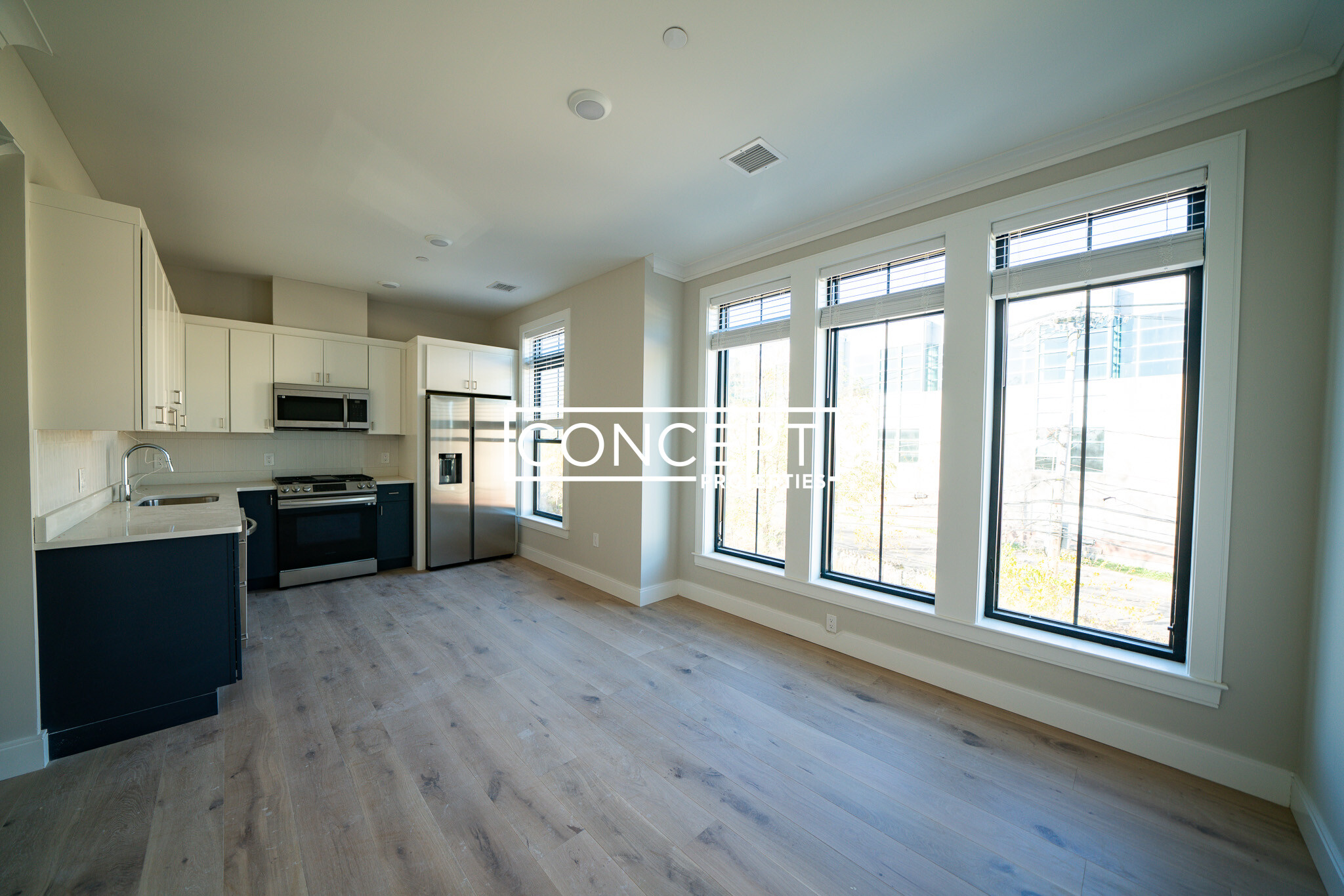 Concept Properties
