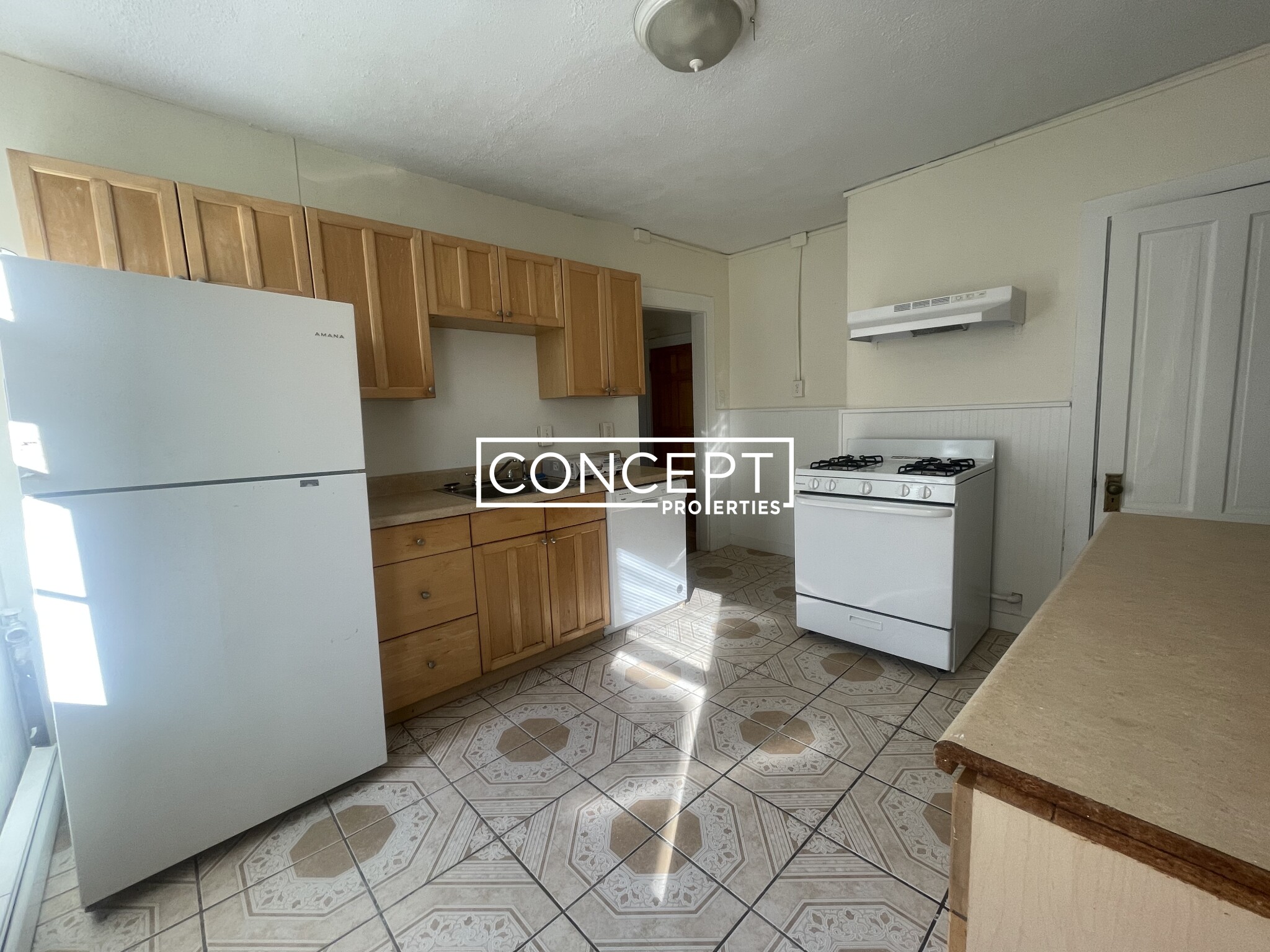 Concept Properties