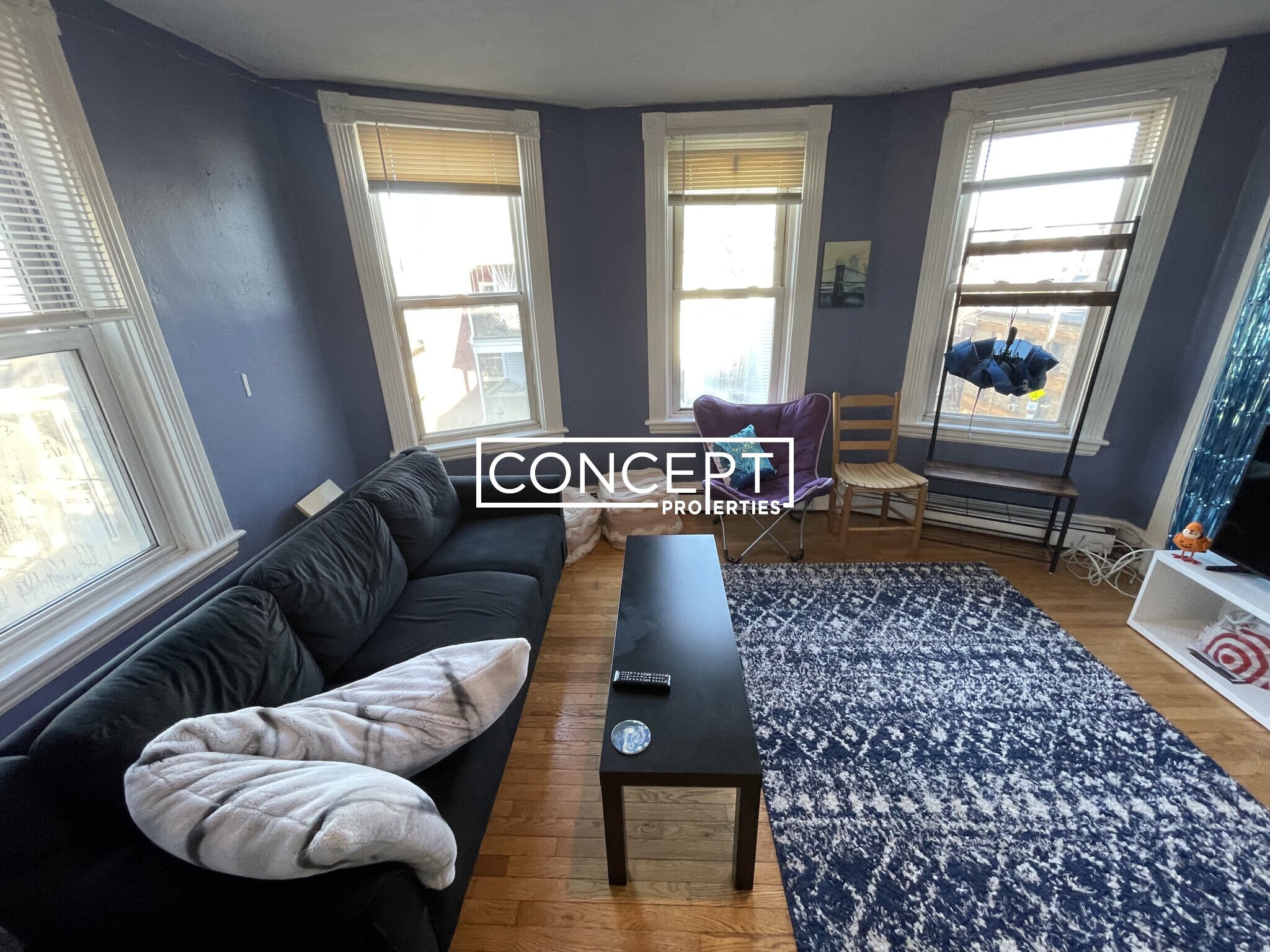 8 Eldora St, Mission Hill