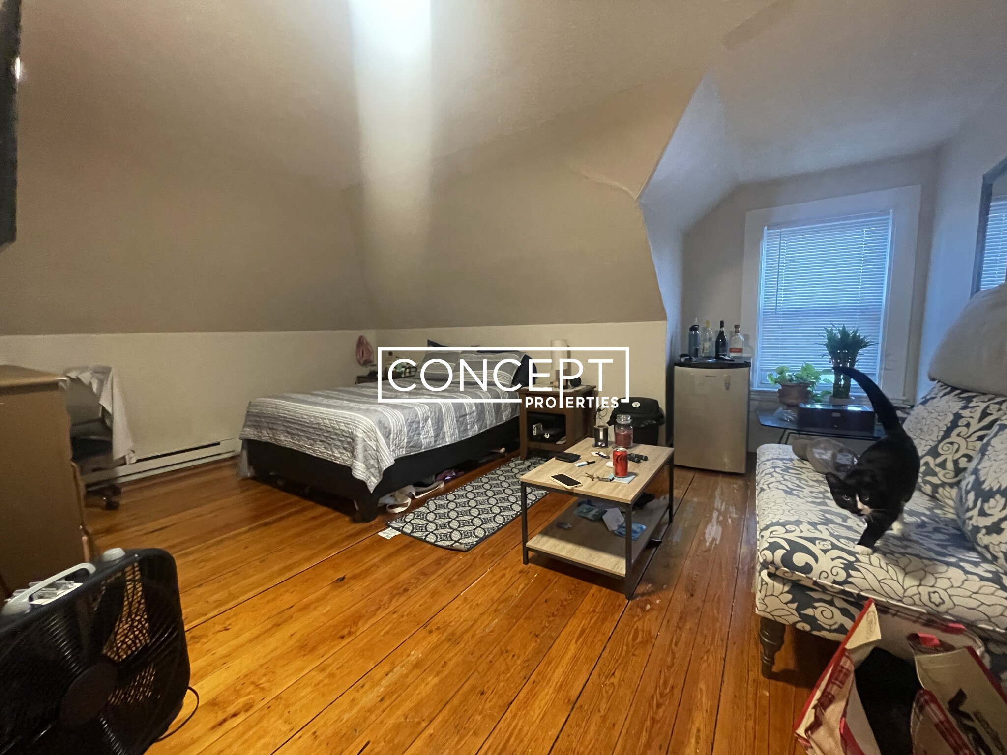 25.2 Pratt St, Allston