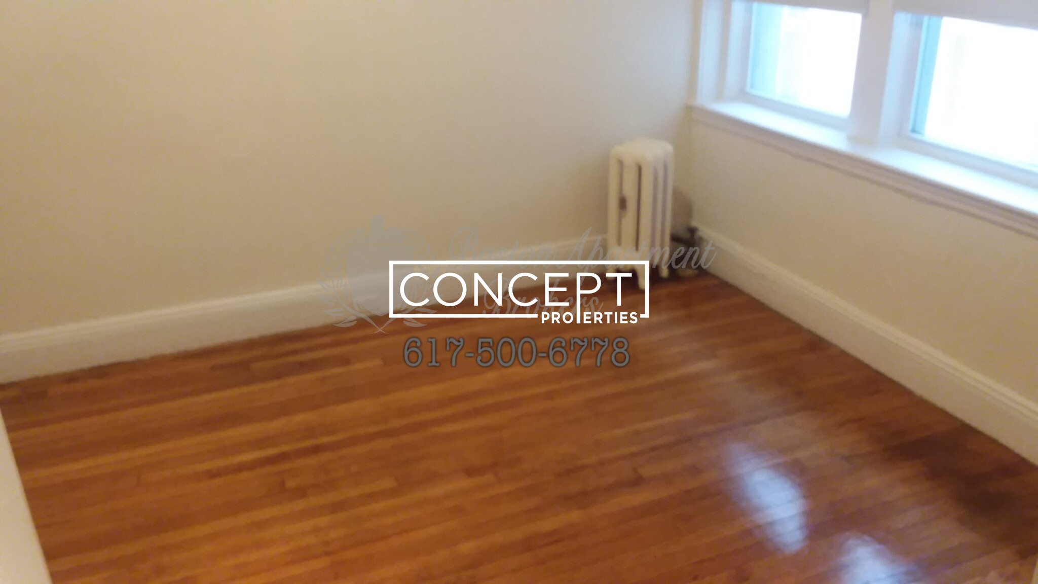 Concept Properties