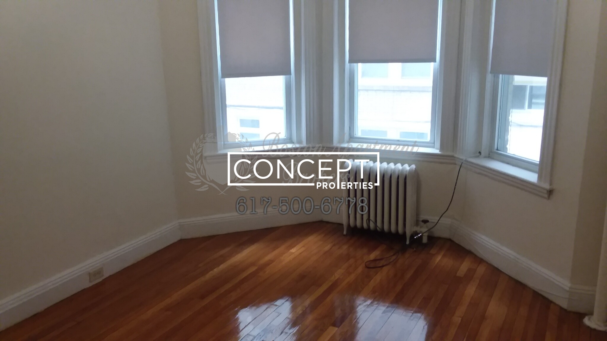 Concept Properties