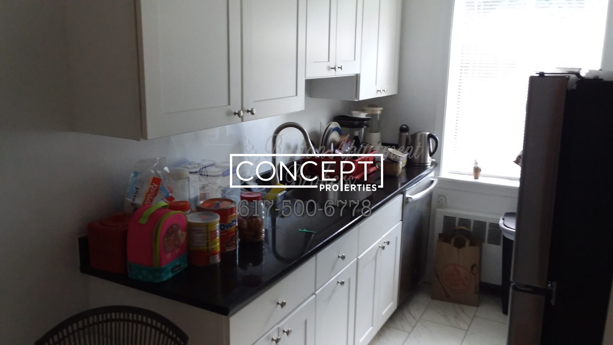 Concept Properties