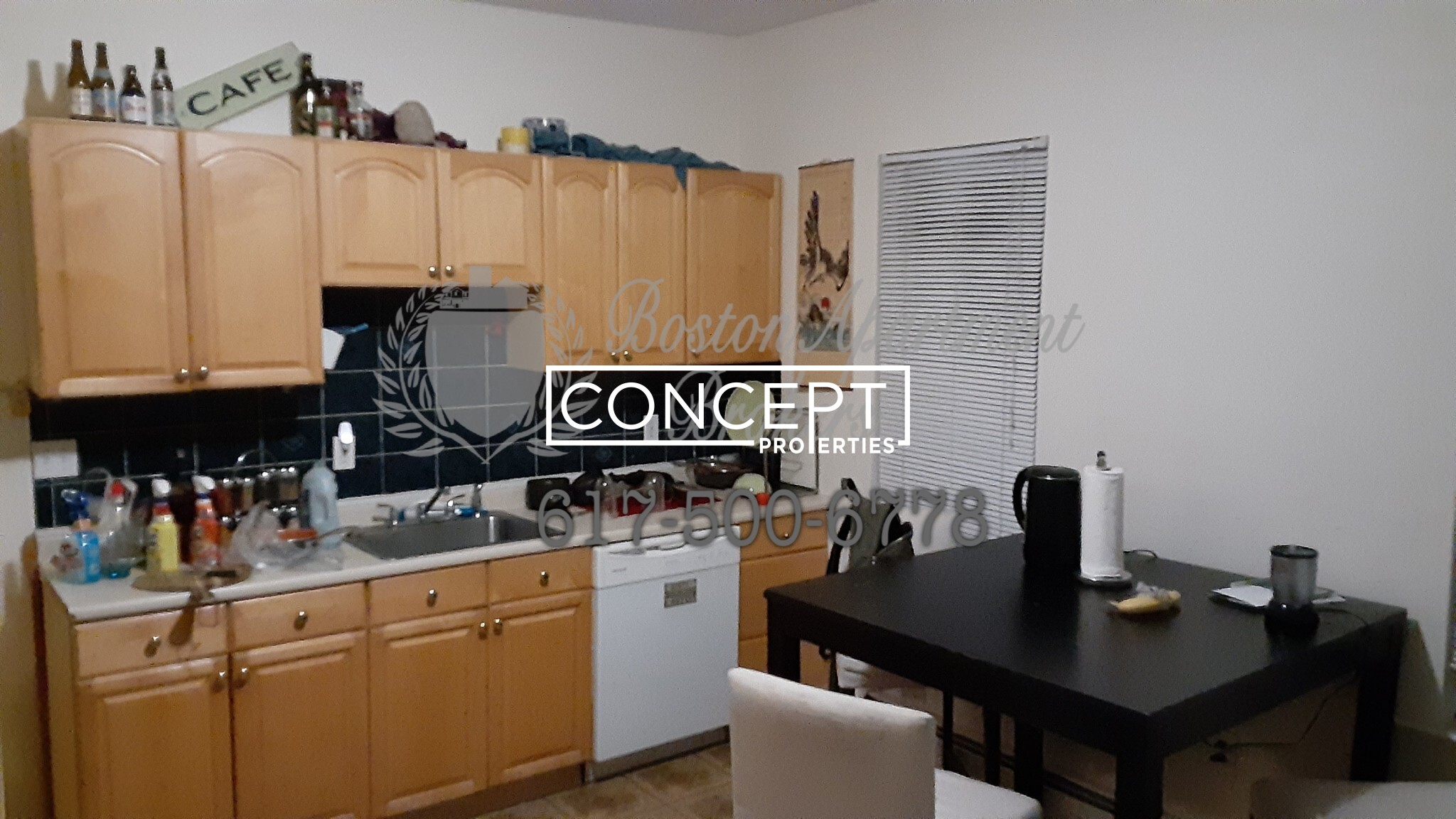 Concept Properties