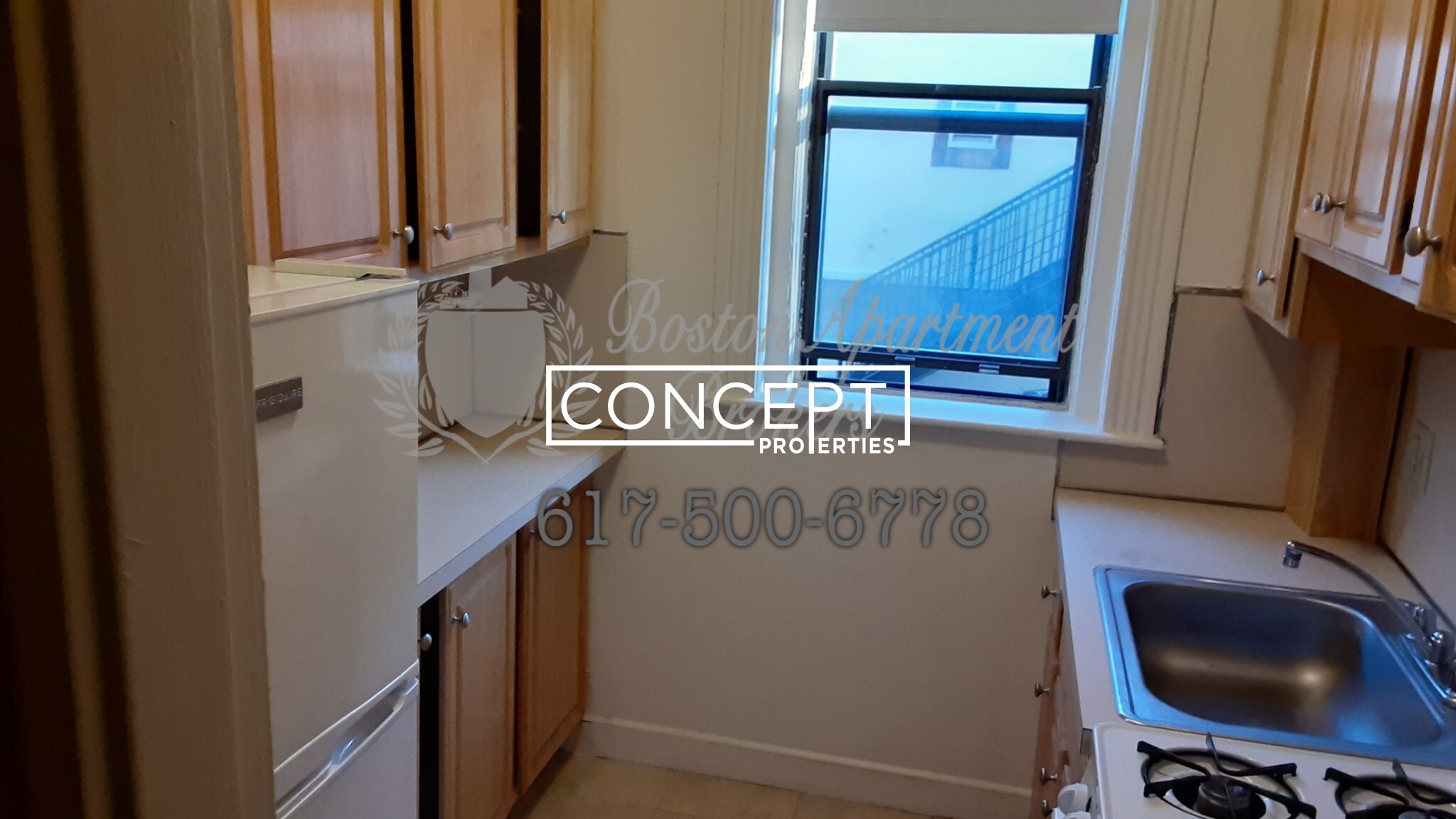 Concept Properties