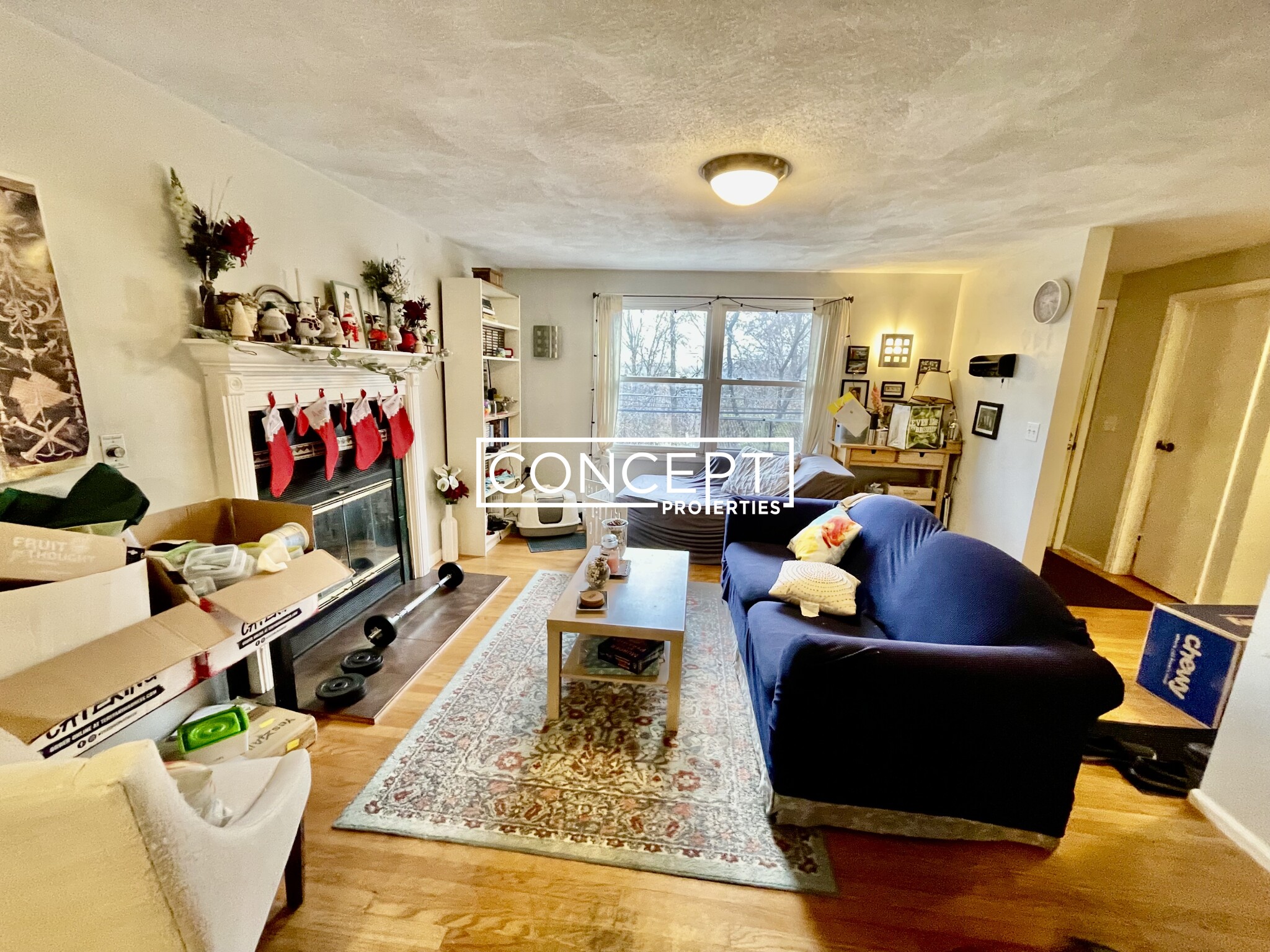 77 Wensley St, Mission Hill