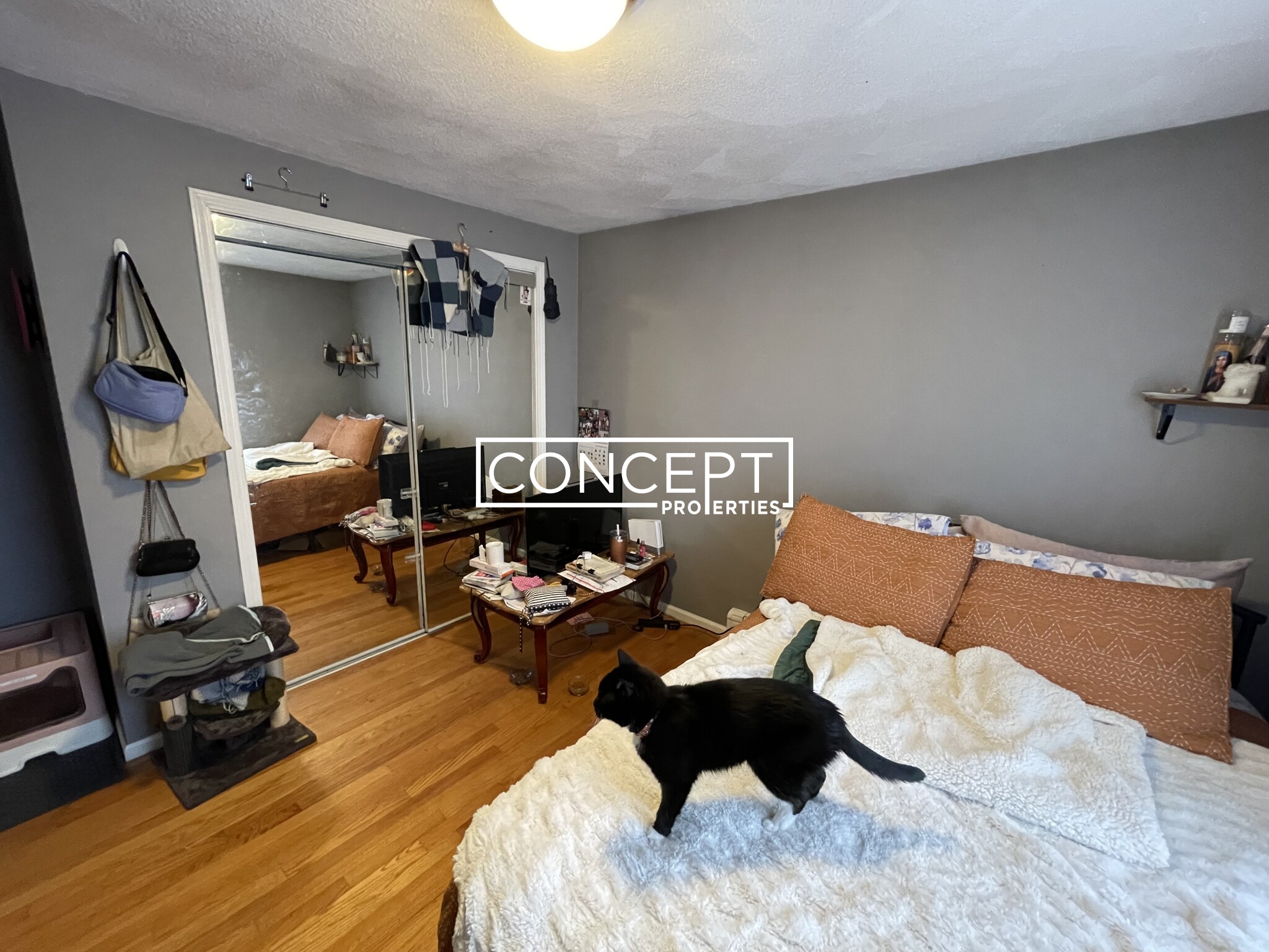 77 Wensley St, Mission Hill