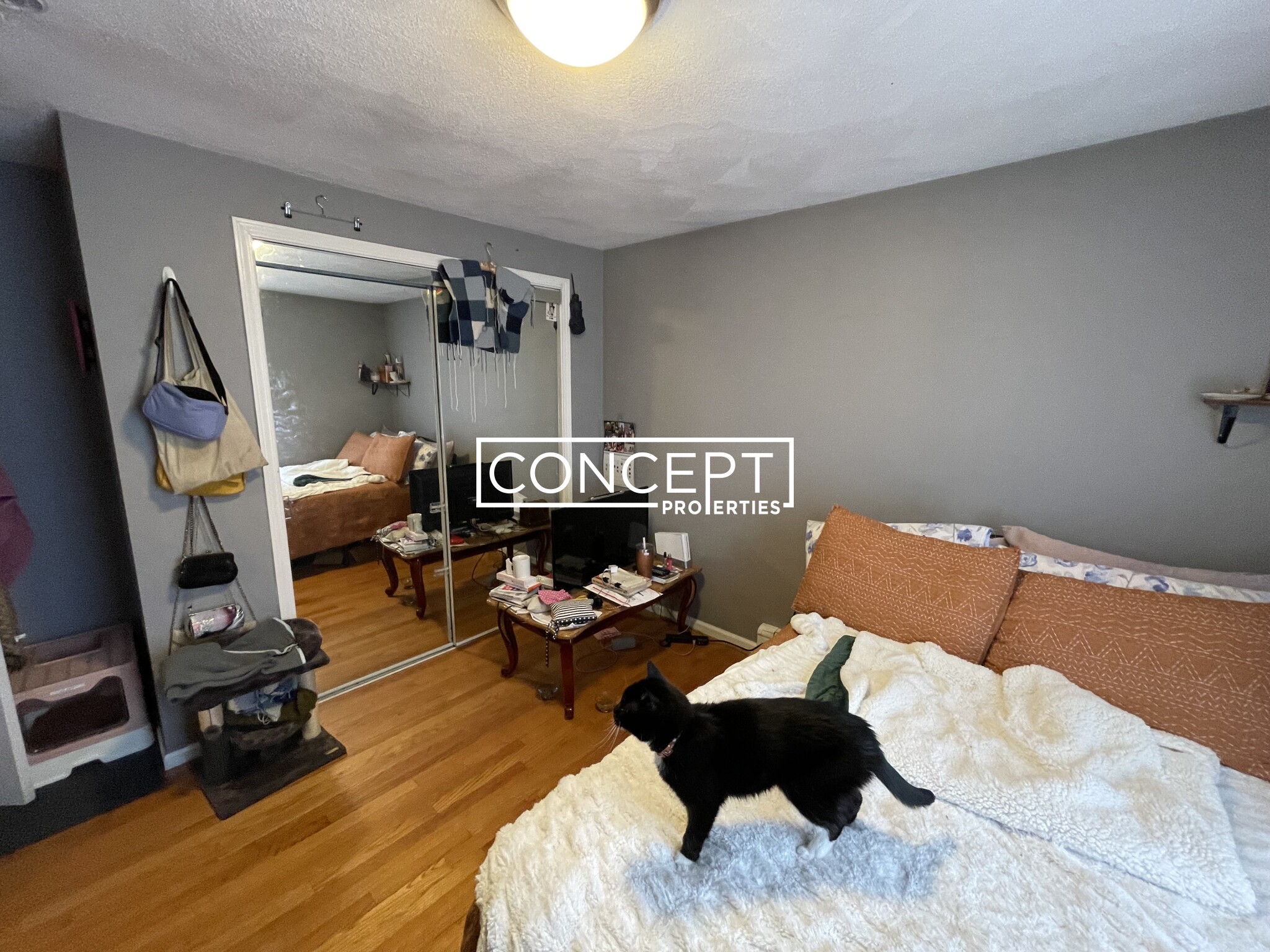 77 Wensley St, Mission Hill