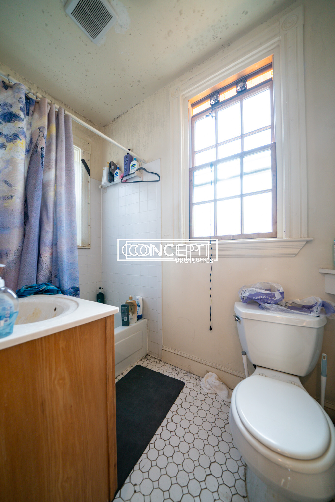 6 Hillside St, Mission Hill