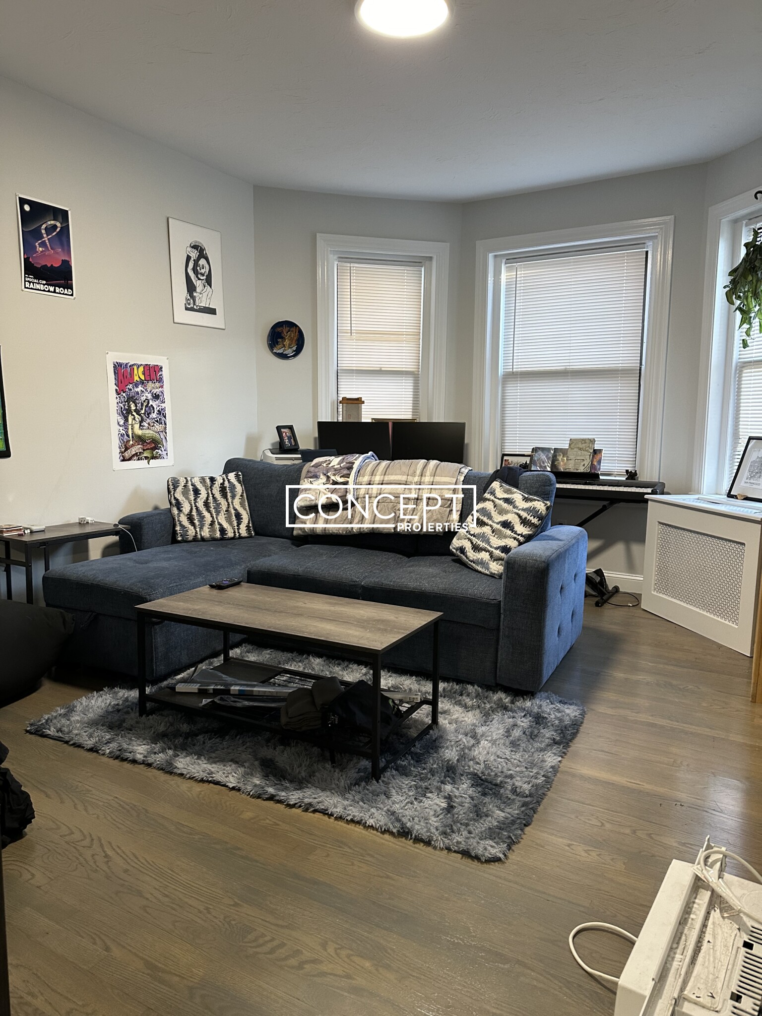 19 Peterborough St, Fenway