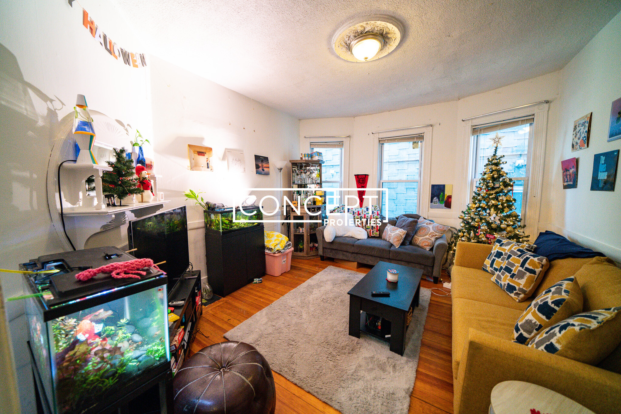 35 Calumet St, Mission Hill