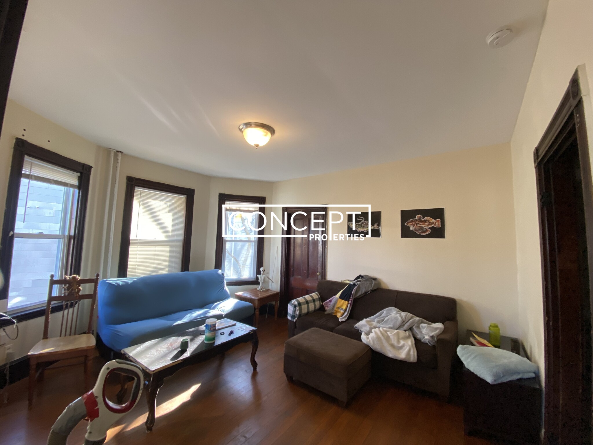 17.2 Hillside St, Mission Hill