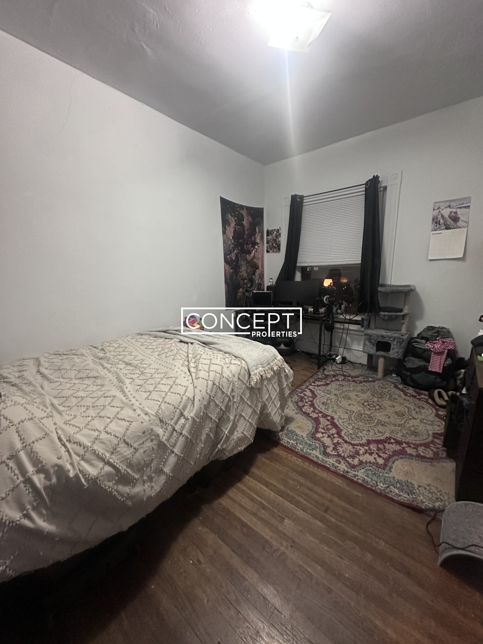 73 Westland Ave, Fenway