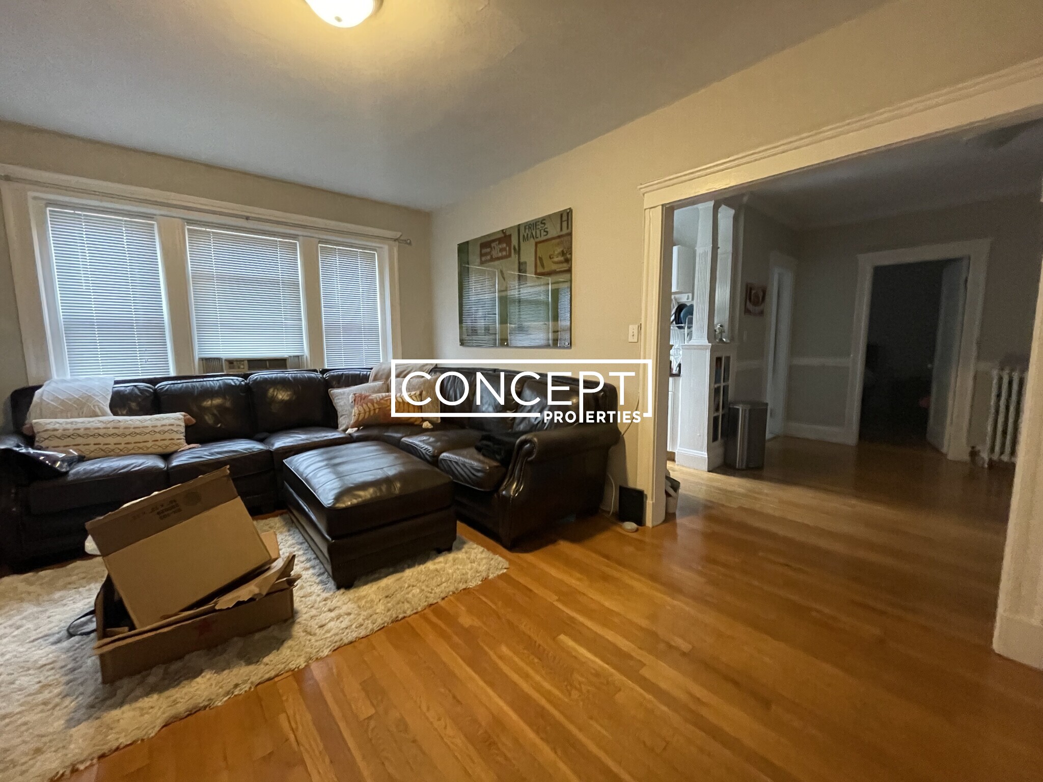 Concept Properties