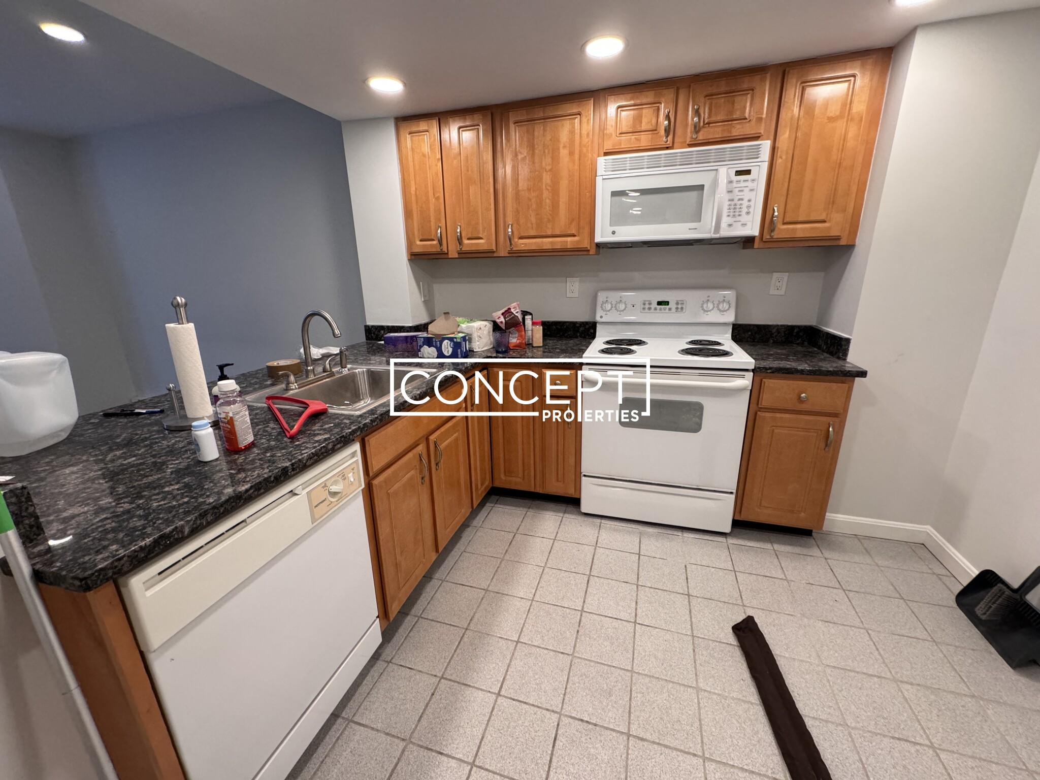 Concept Properties