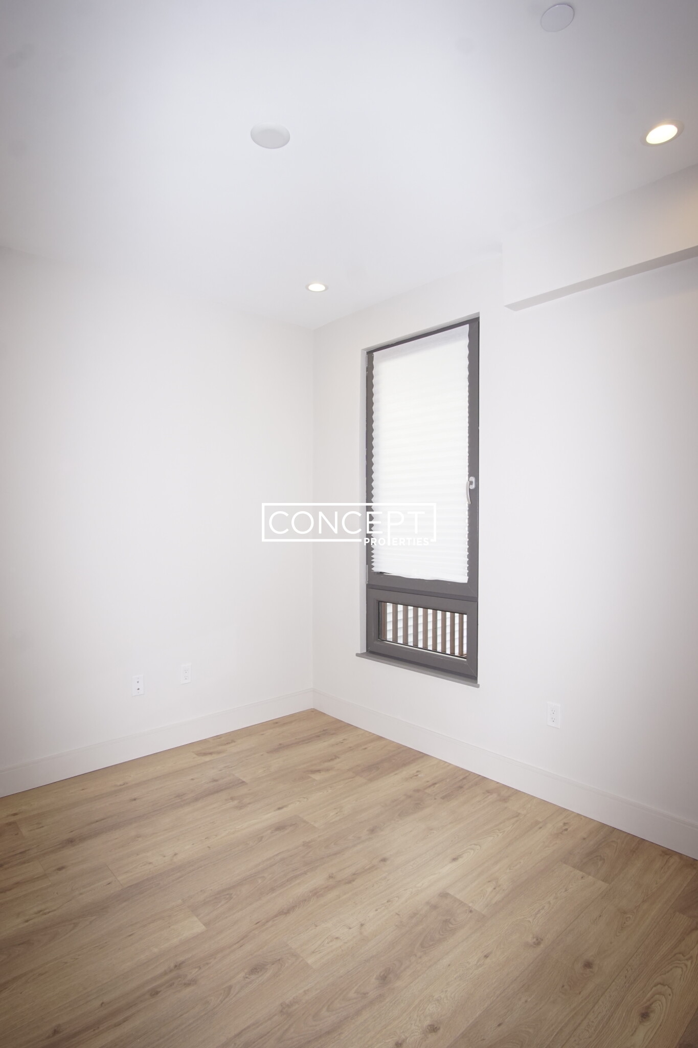 31 Buttonwood, Dorchester