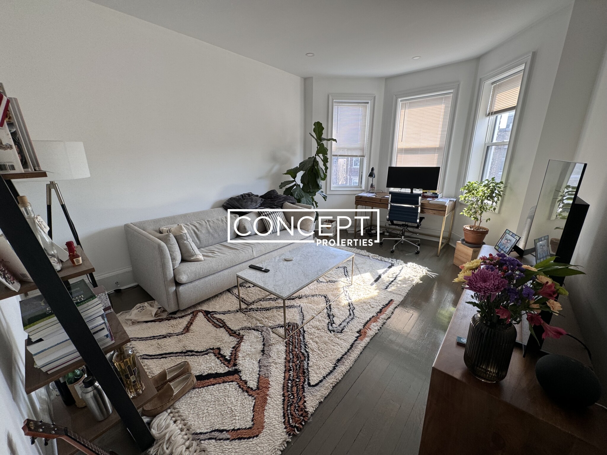 Concept Properties