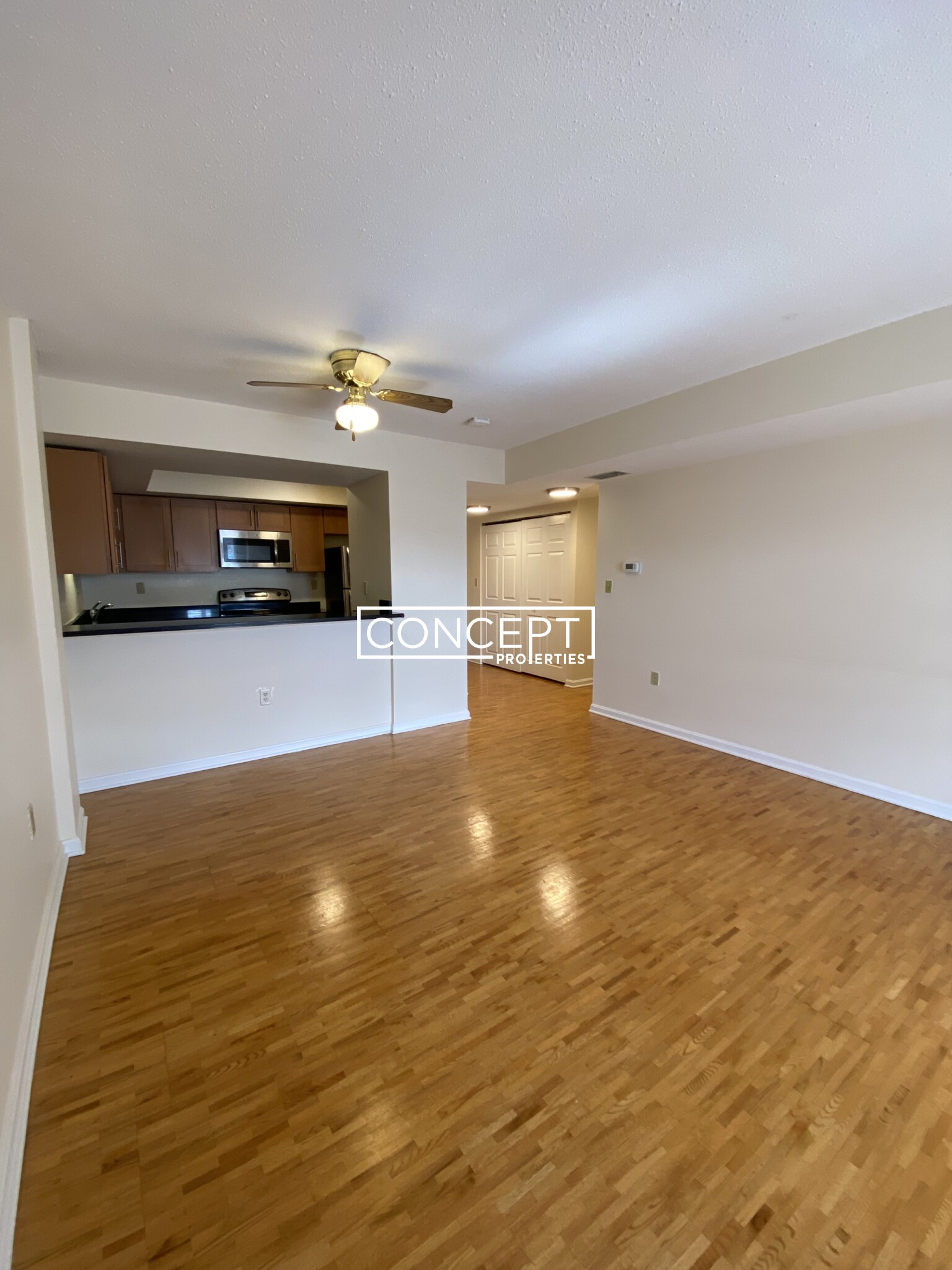Concept Properties