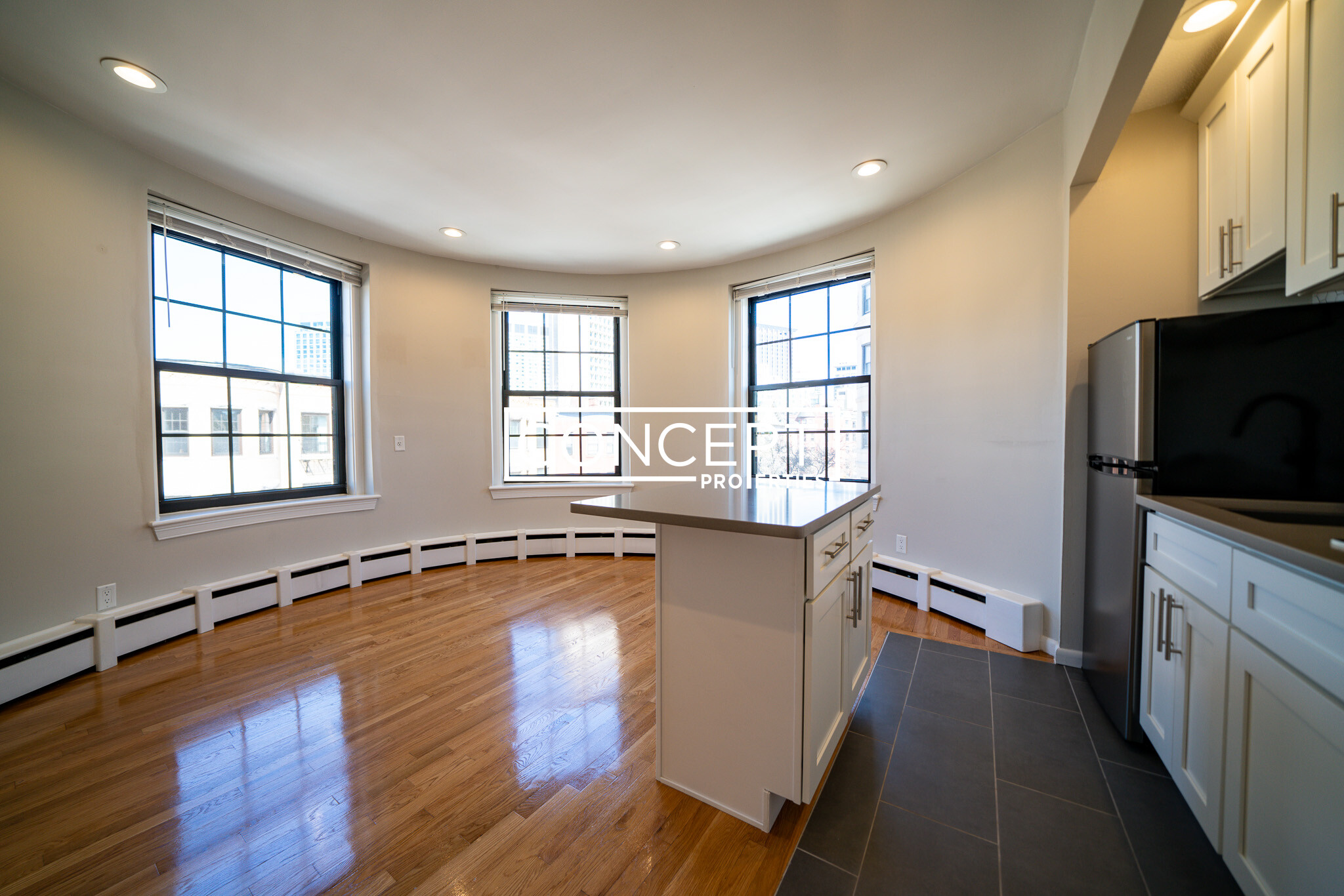 Concept Properties