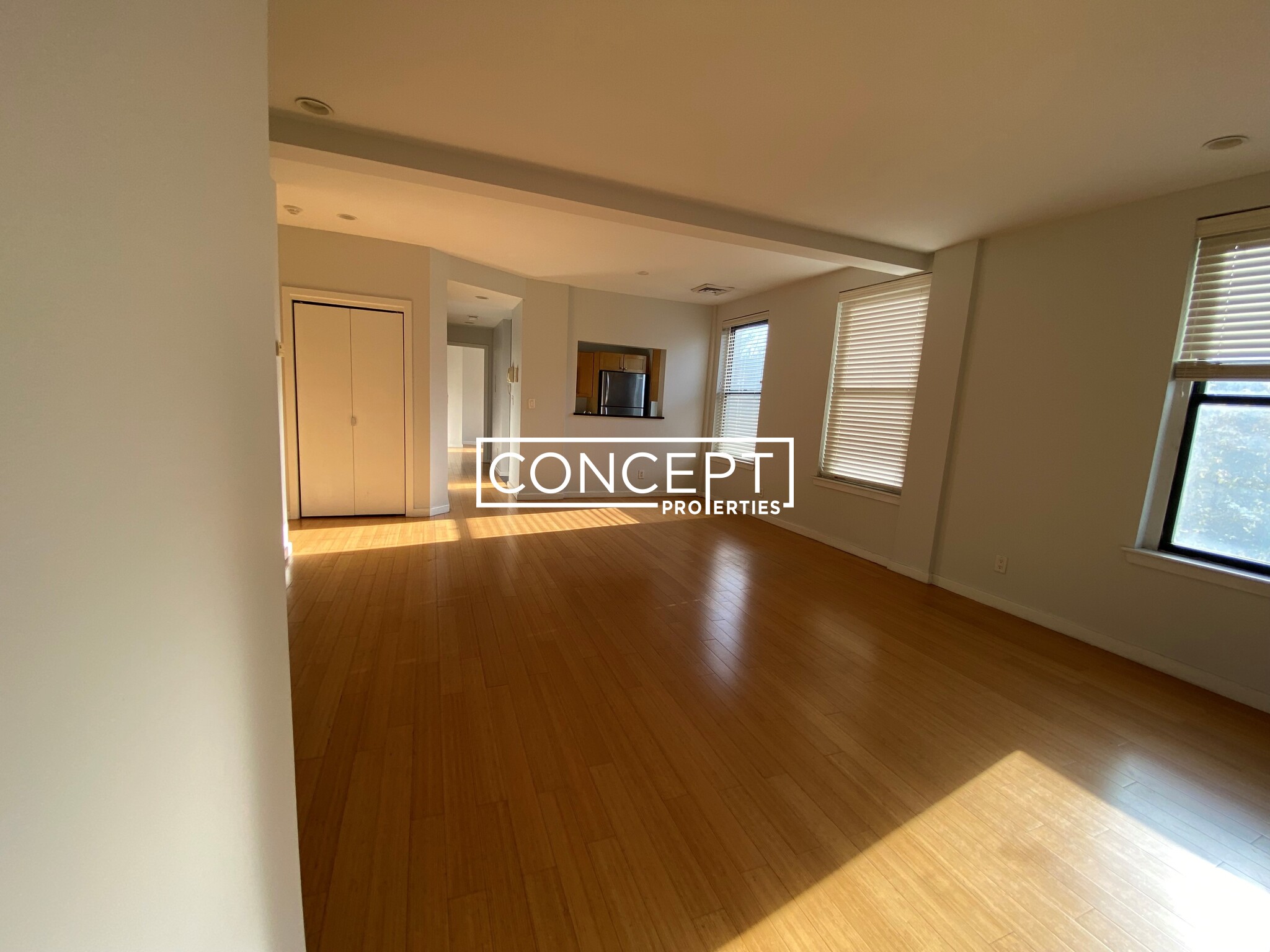 Concept Properties