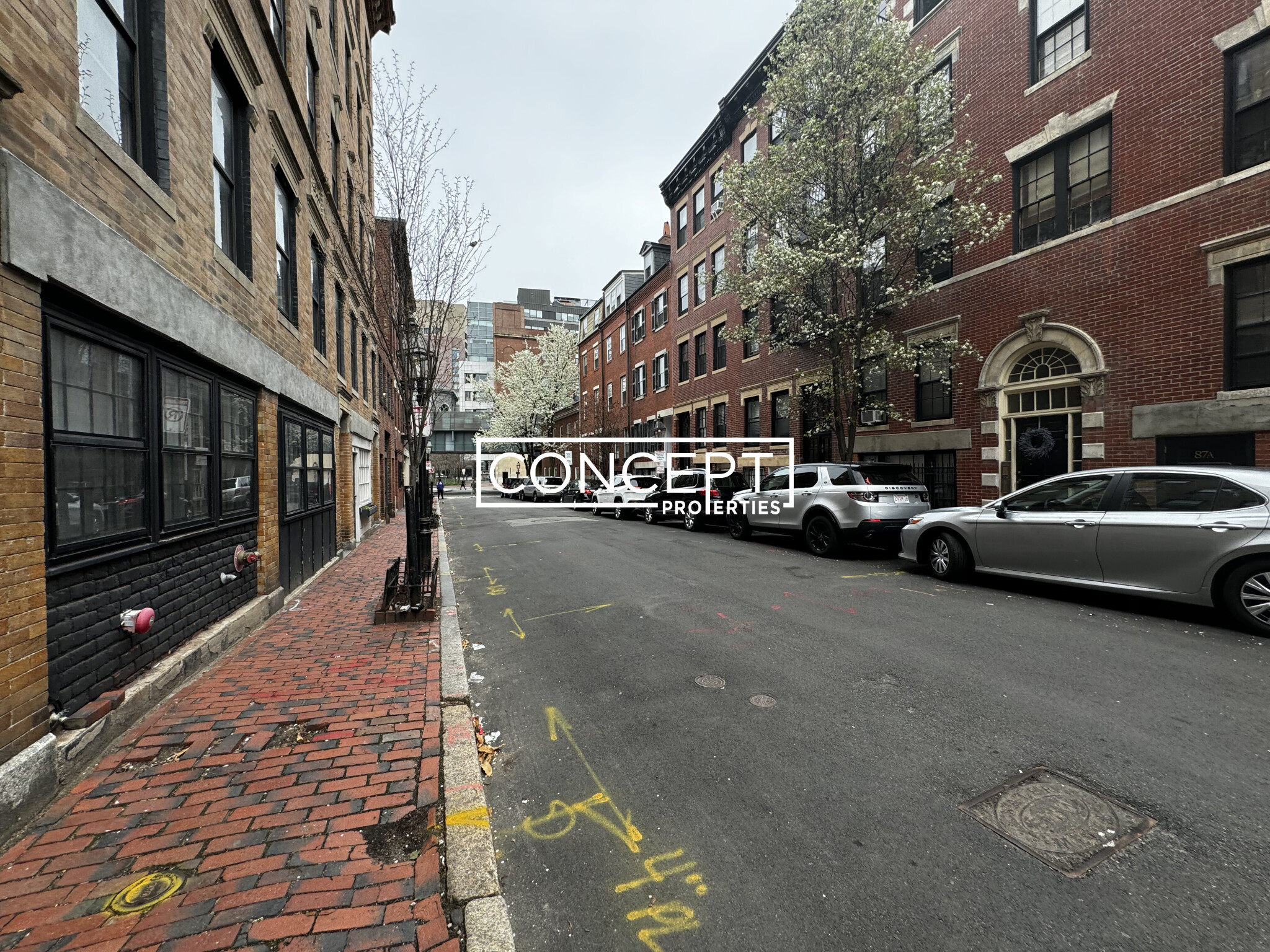 88 West Cedar St, Beacon Hill